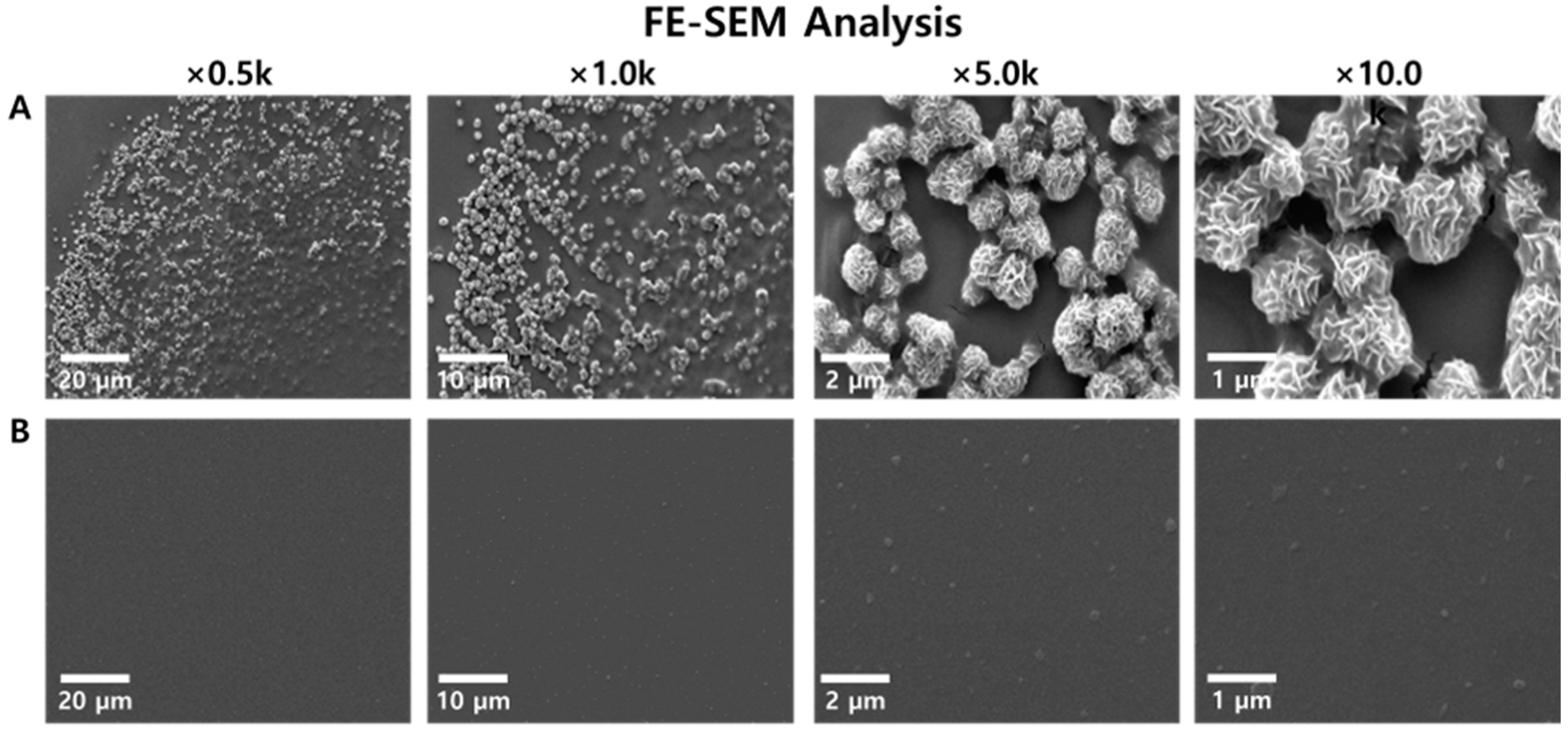Biosensors 14 00348 g004