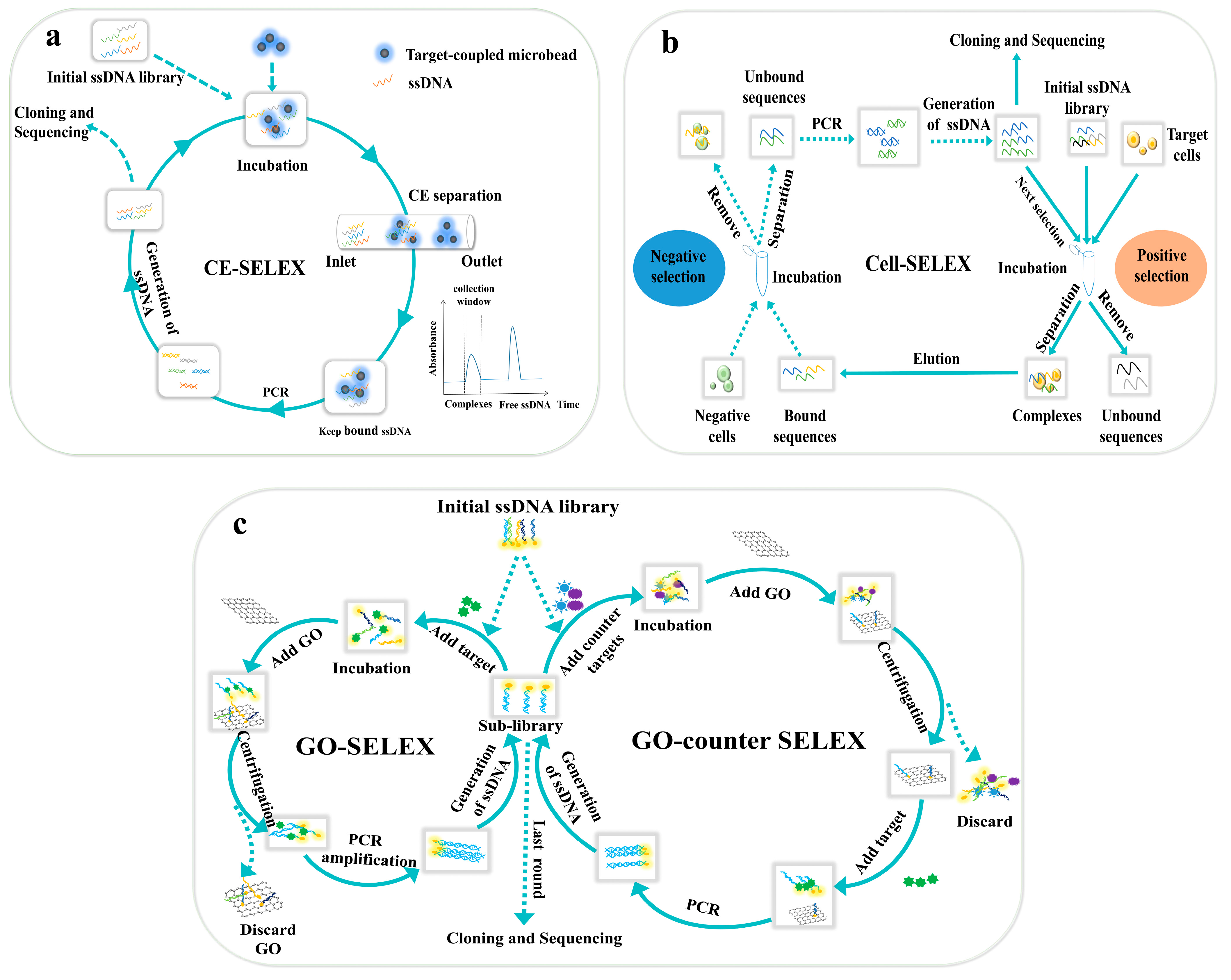 Biosensors 14 00350 g001