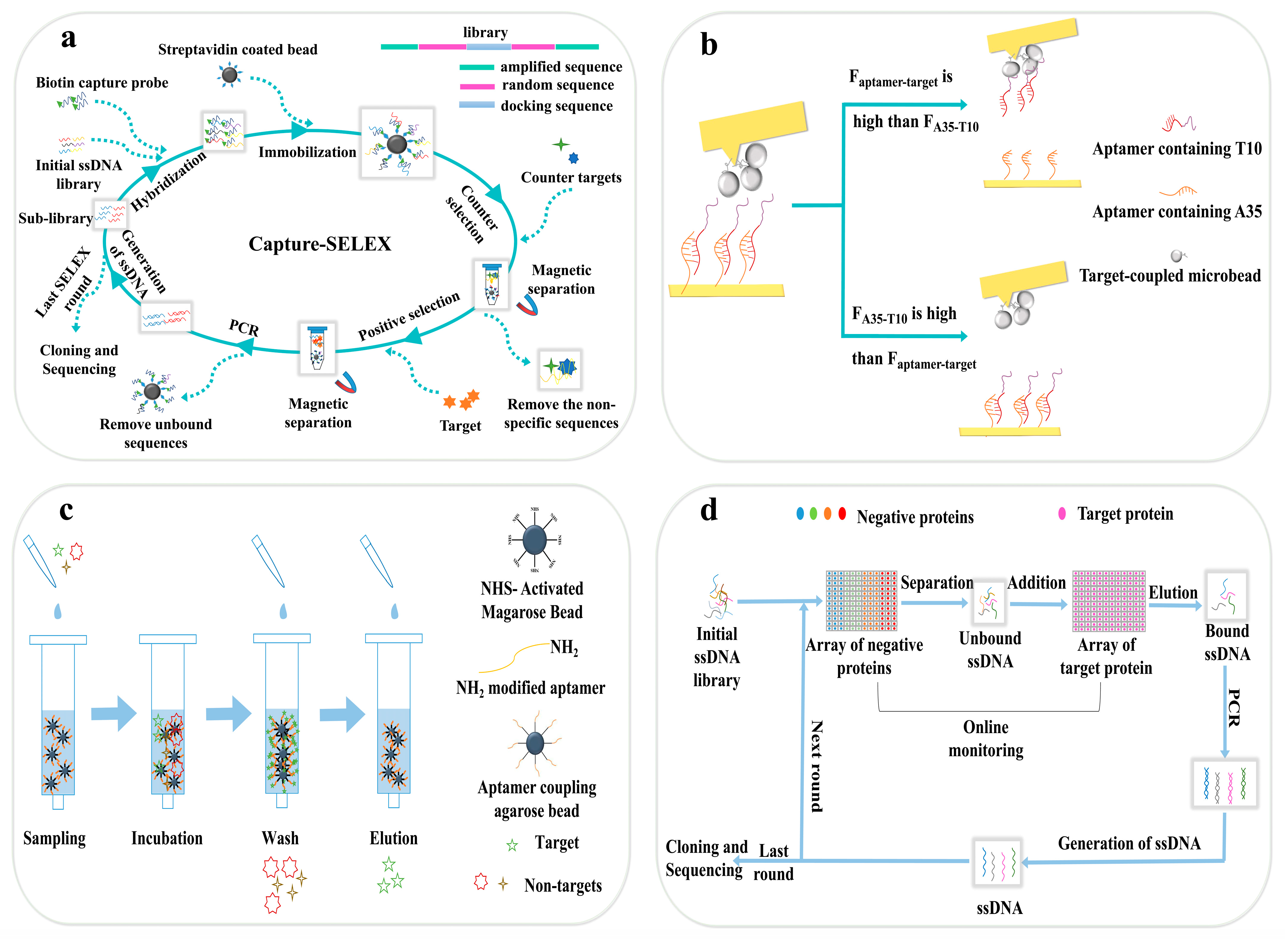 Biosensors 14 00350 g002