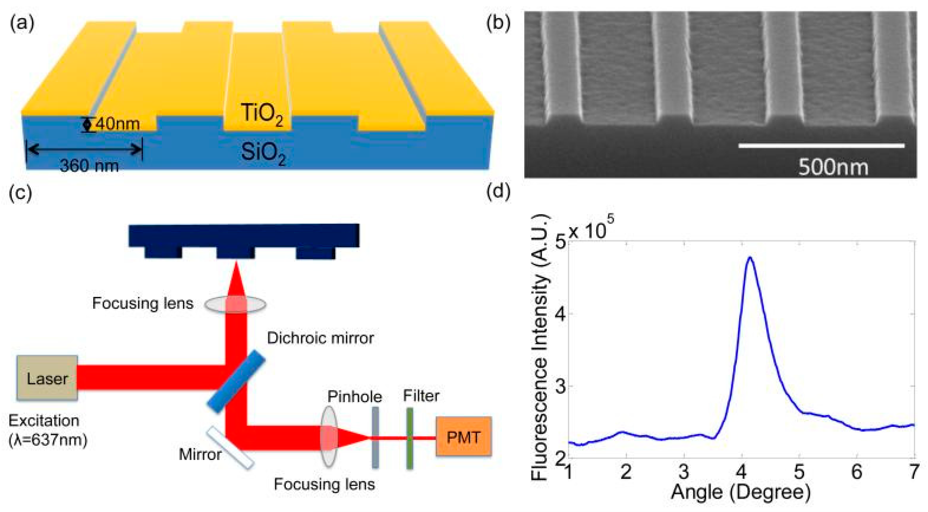 Biosensors 14 00353 g002
