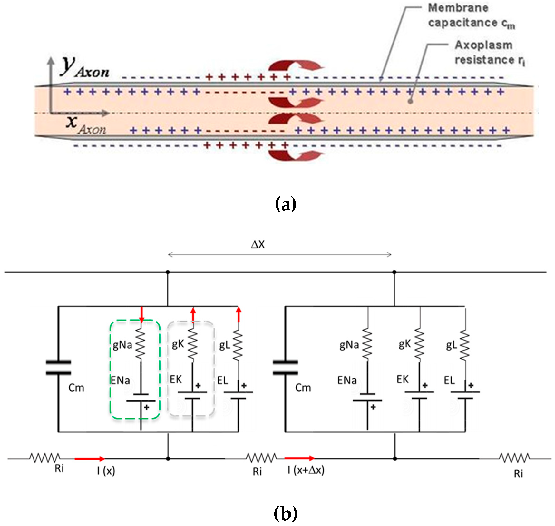 Biosensors 14 00354 g002