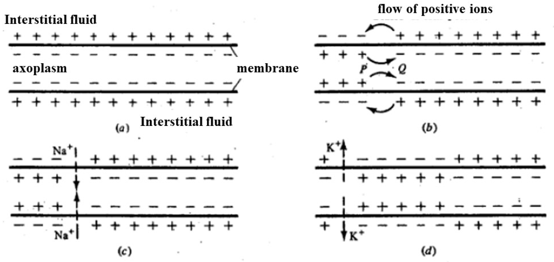 Biosensors 14 00354 g006