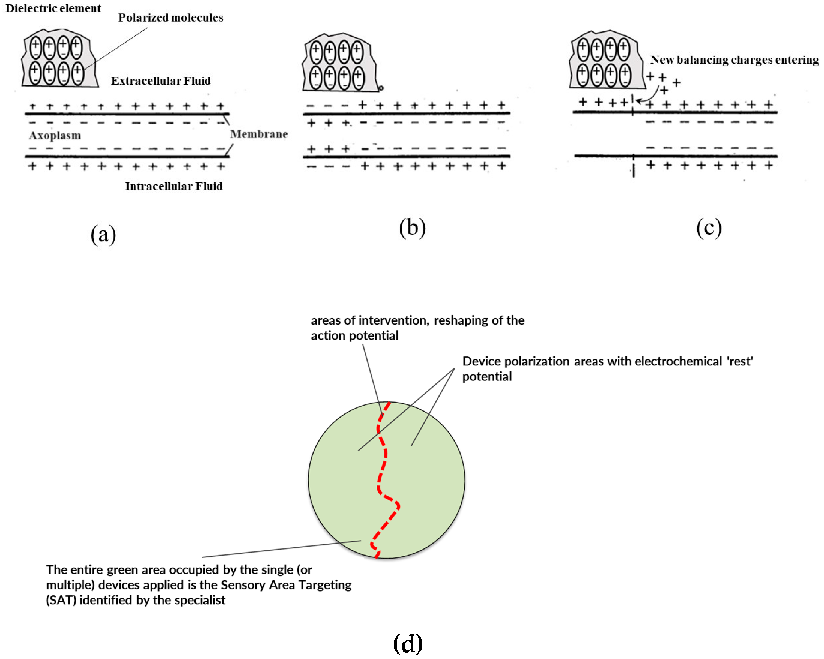 Biosensors 14 00354 g007