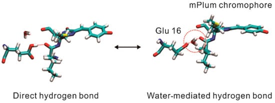 Biosensors 14 00359 g002