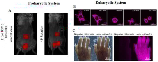 Biosensors 14 00359 g004