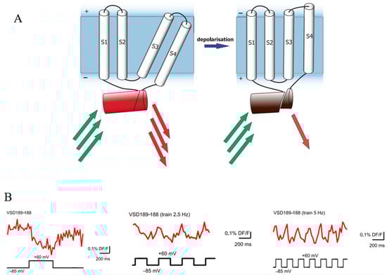 Biosensors 14 00359 g010