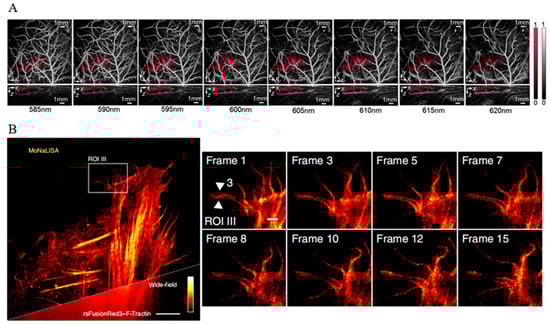 Biosensors 14 00359 g013