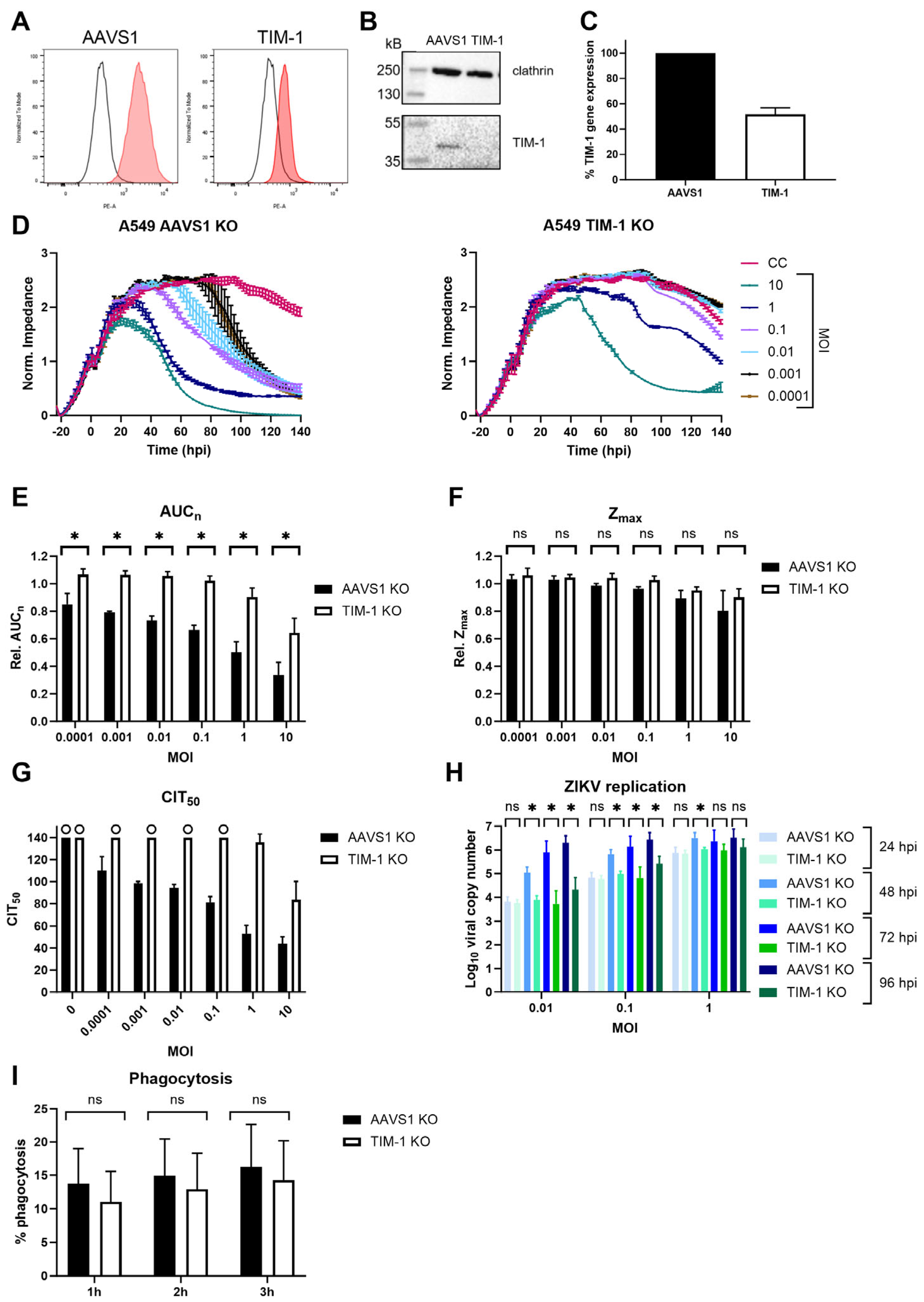 Biosensors 14 00362 g005