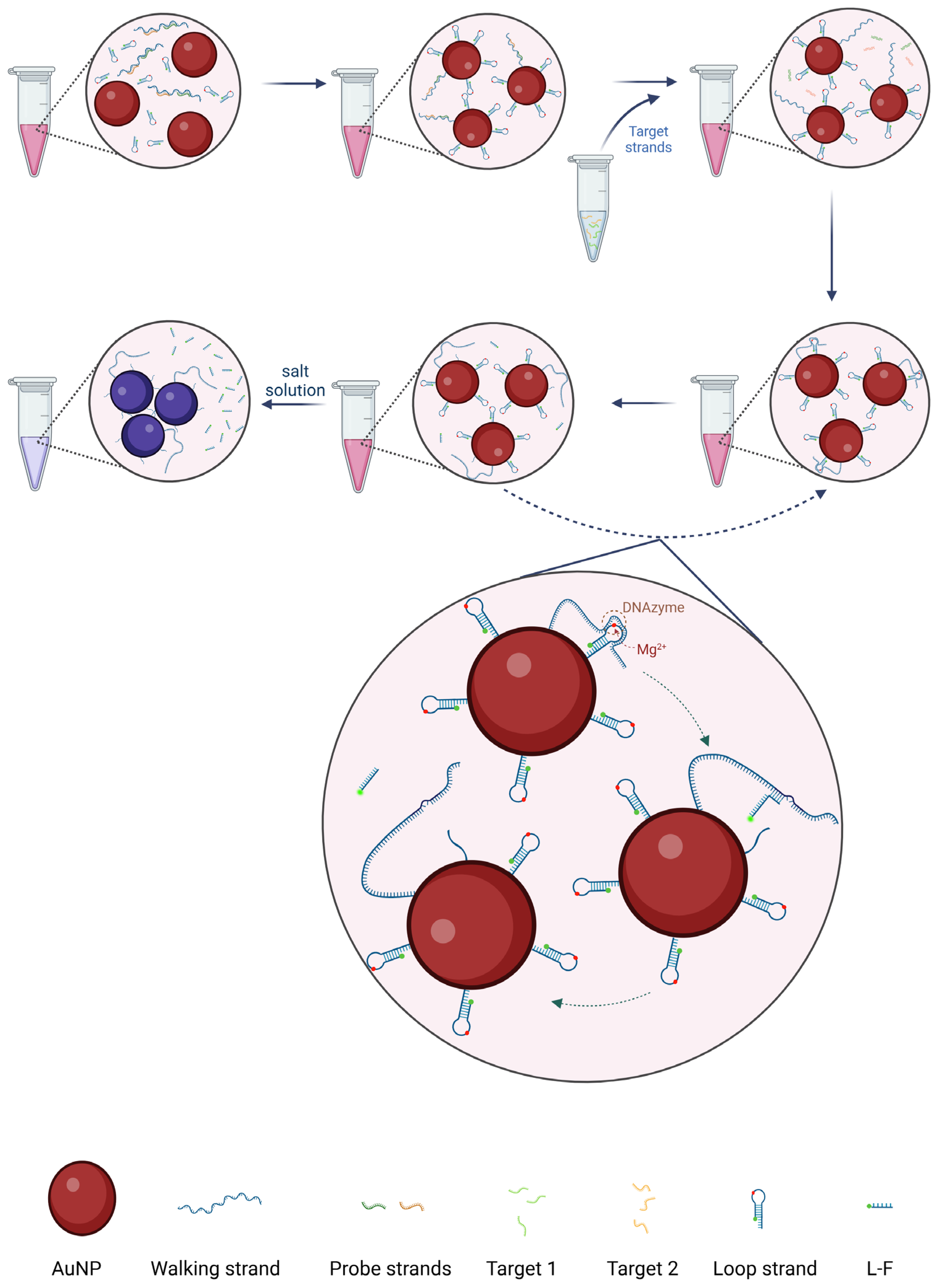 Biosensors 14 00370 g001