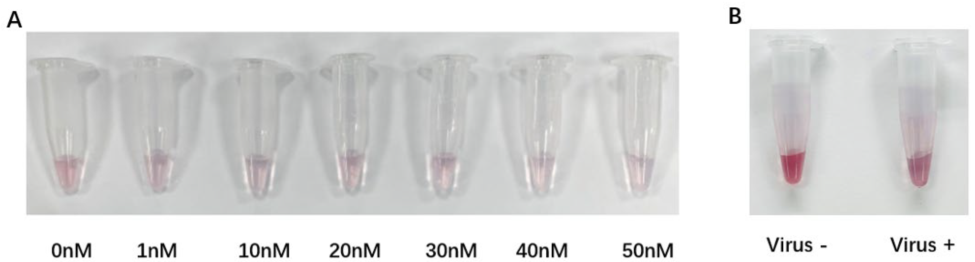 Biosensors 14 00370 g004