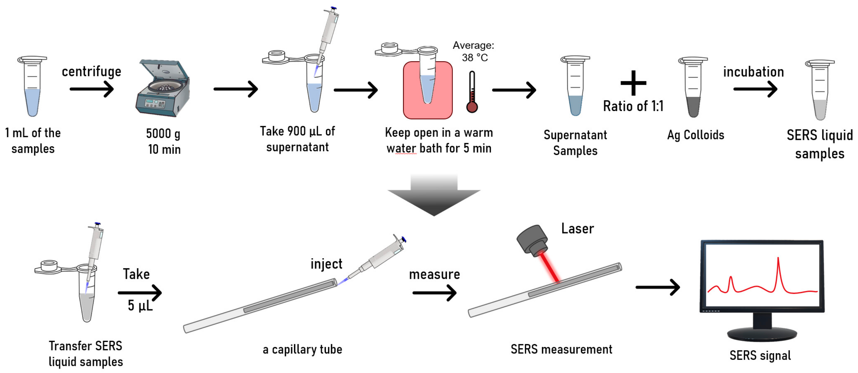 Biosensors 14 00372 g002 Biosensors 14 00372 g002