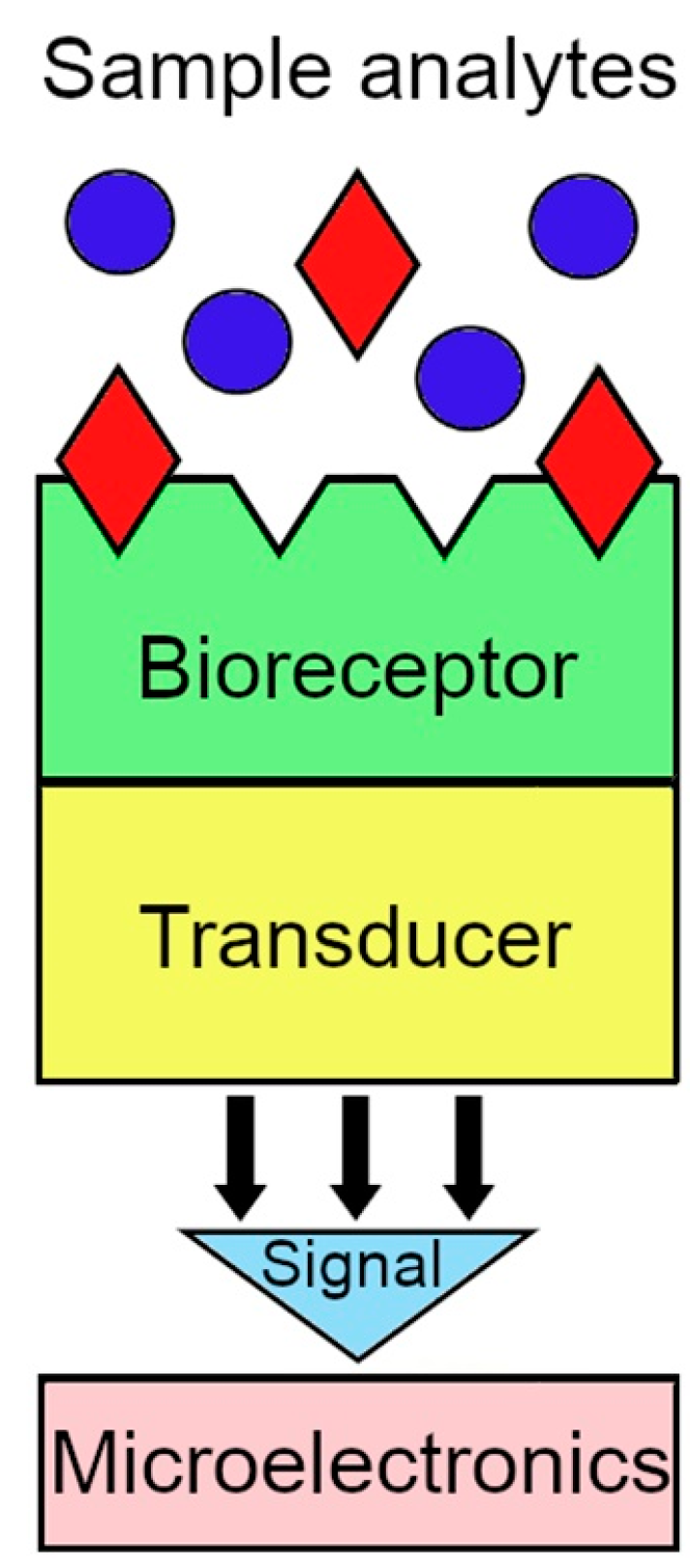 Biosensors 14 00373 g004