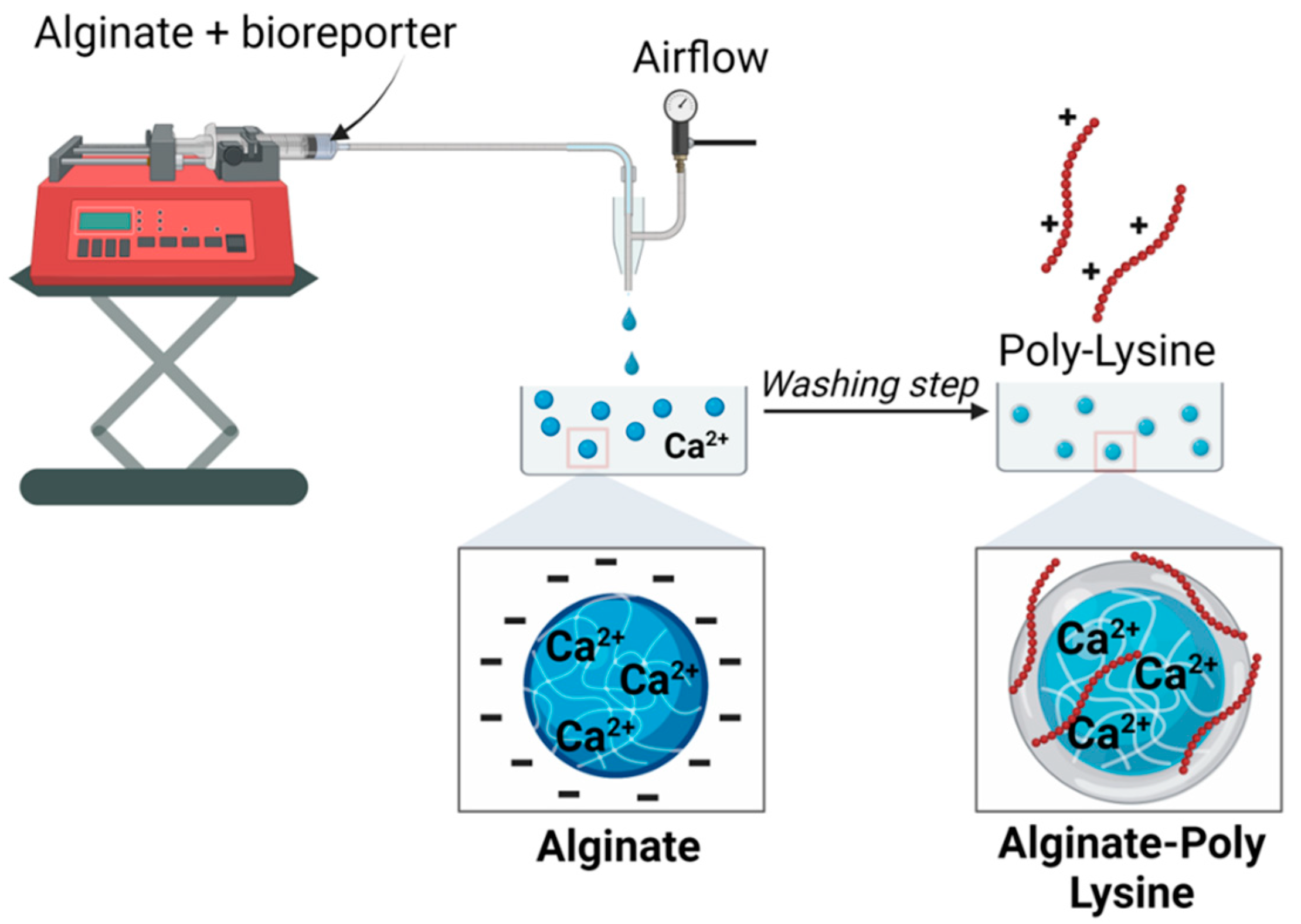 Biosensors 14 00383 g002