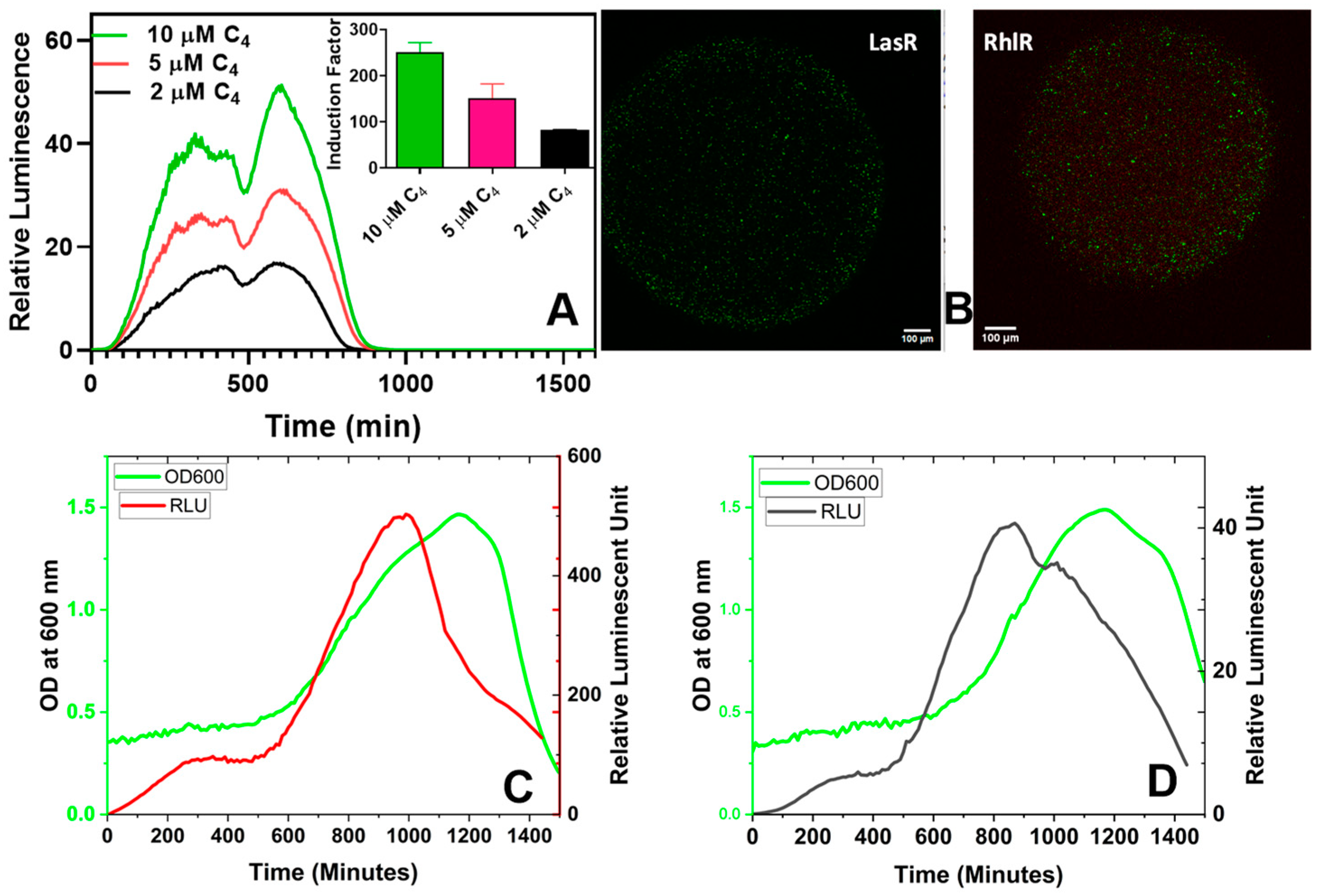 Biosensors 14 00383 g009