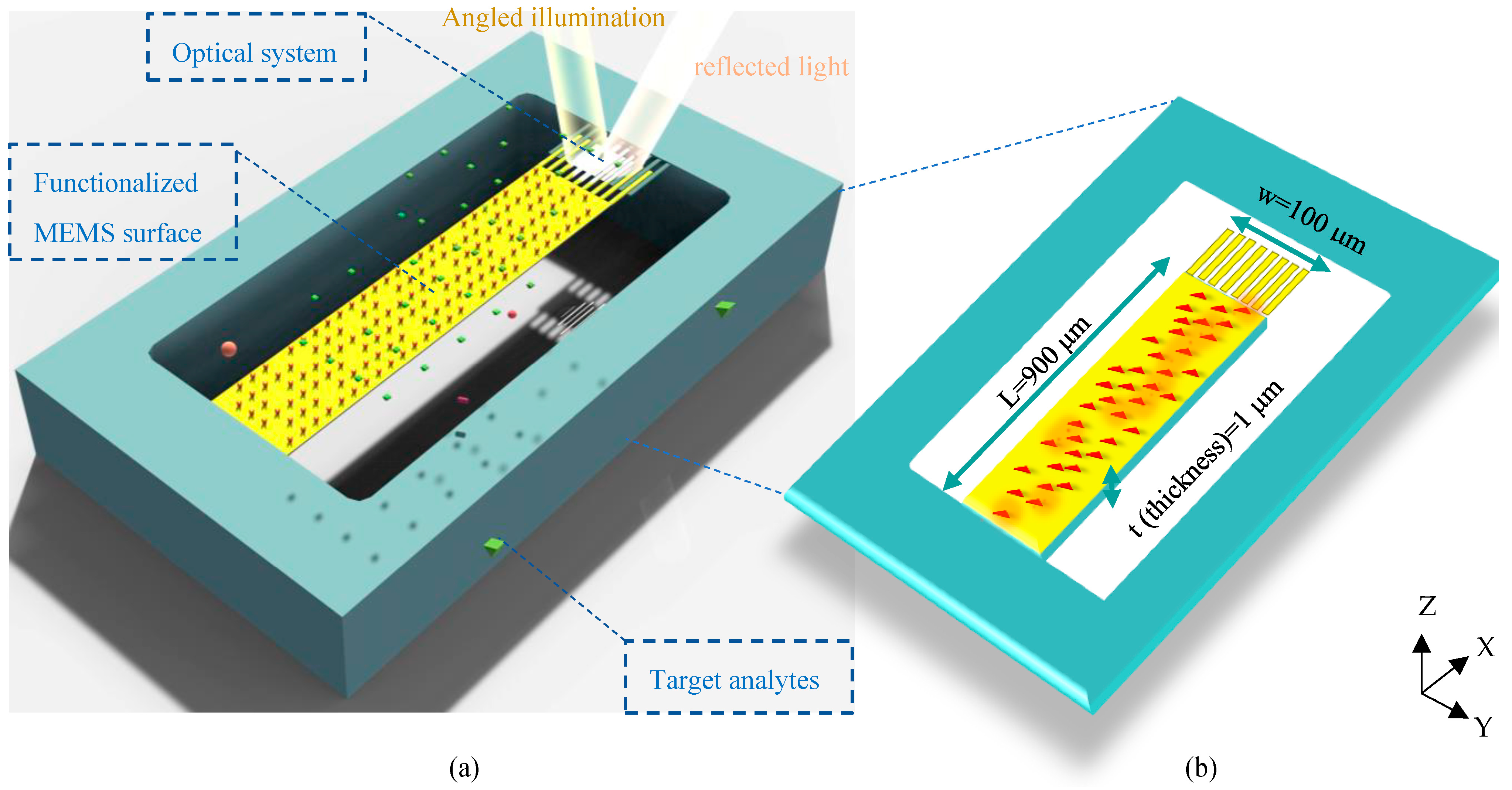 Biosensors 14 00385 g001