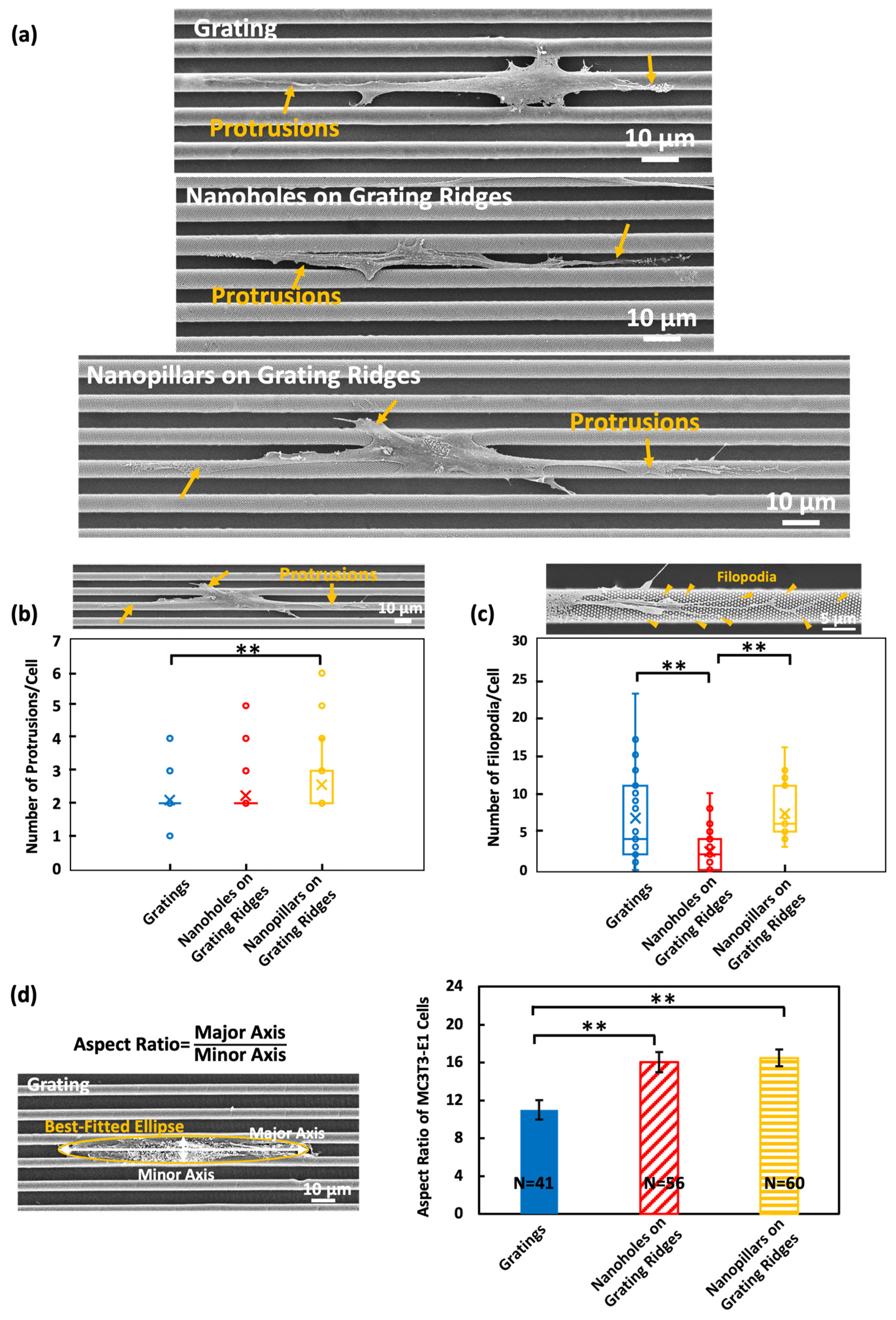 Biosensors 14 00389 g003