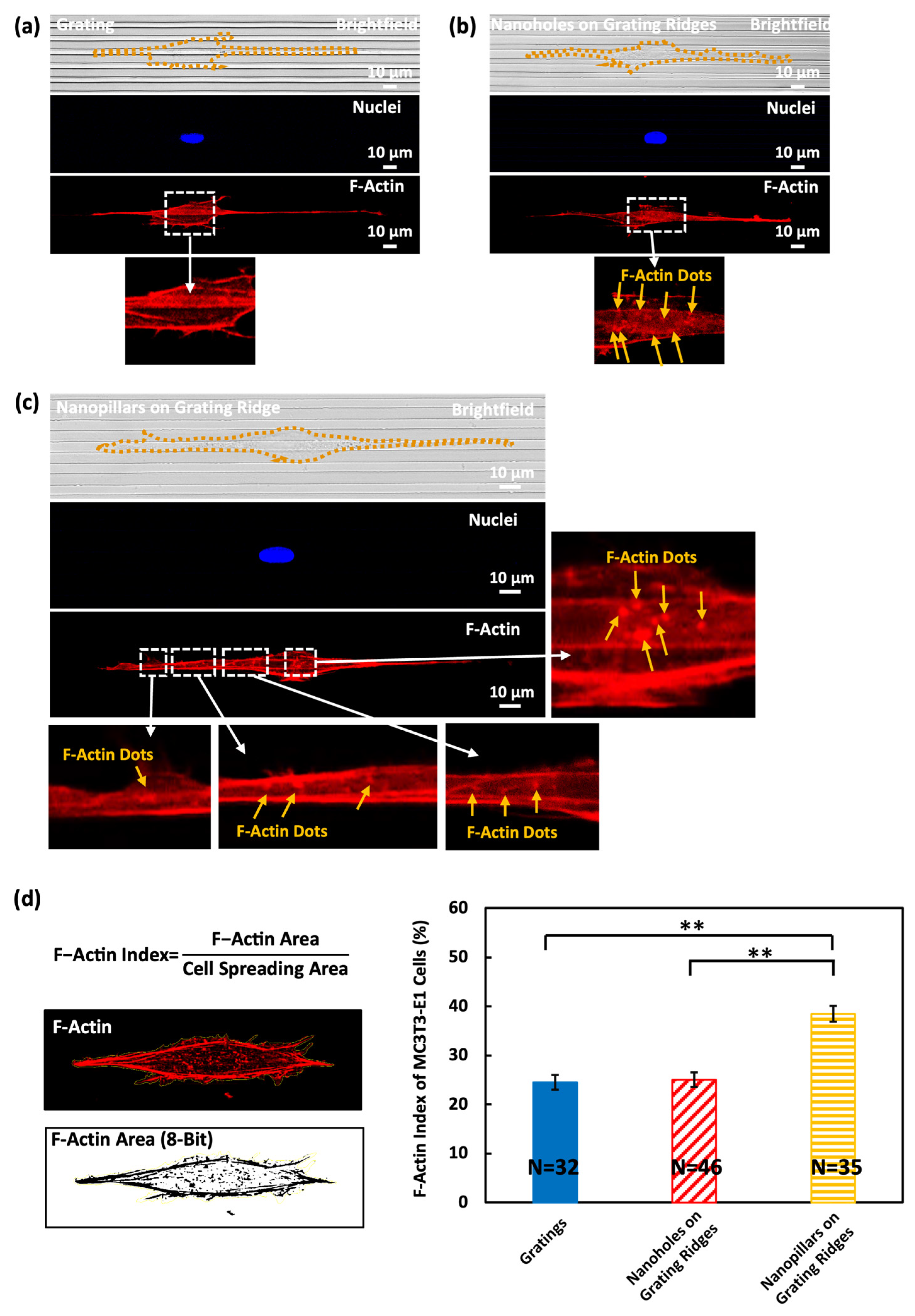 Biosensors 14 00389 g004