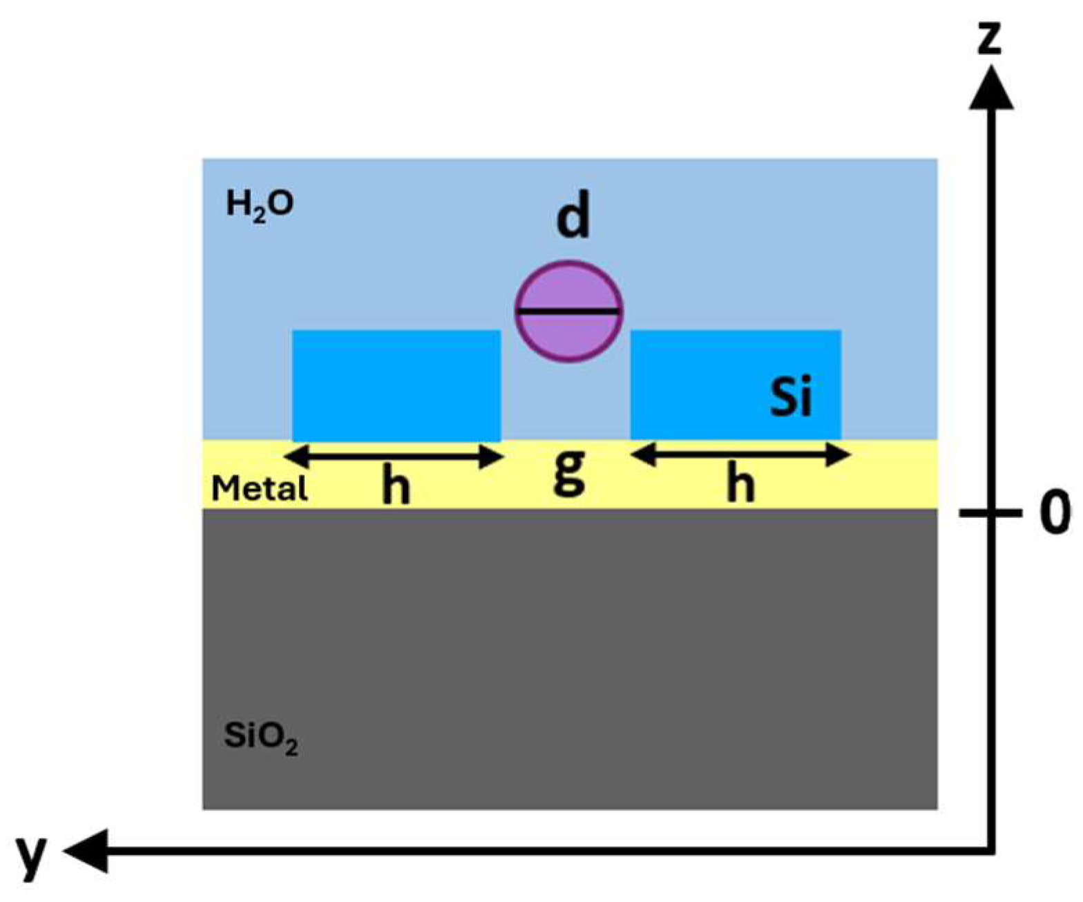 Biosensors 14 00390 g007
