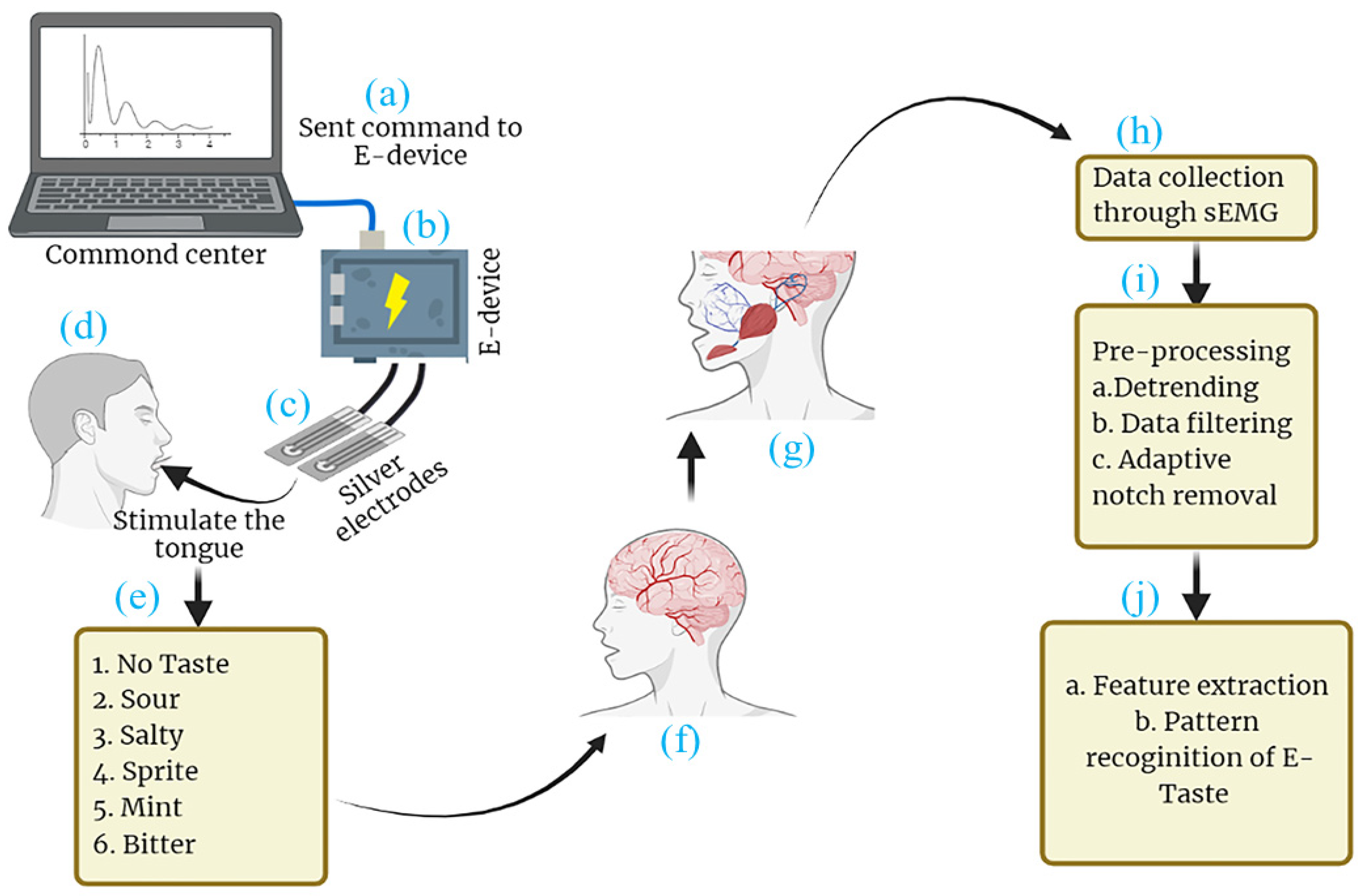 Biosensors 14 00396 g001