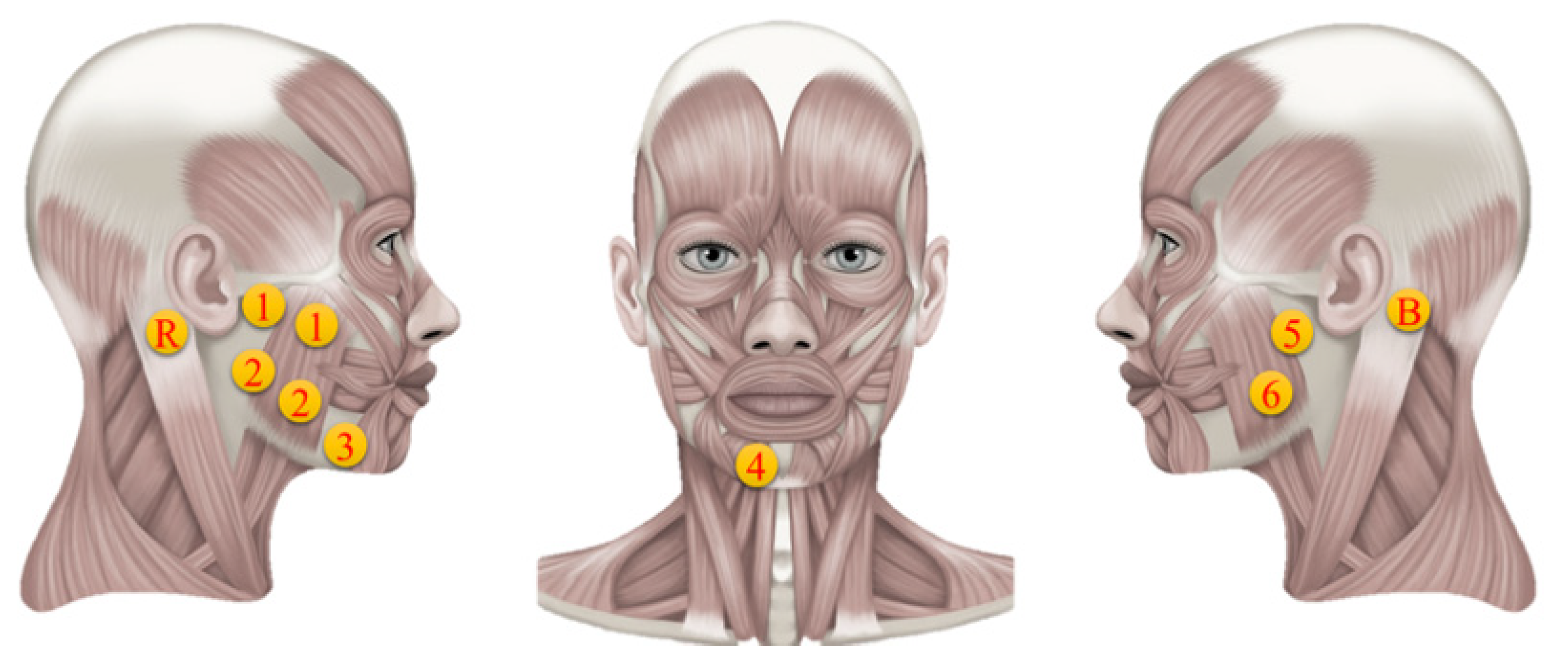 Biosensors 14 00396 g005