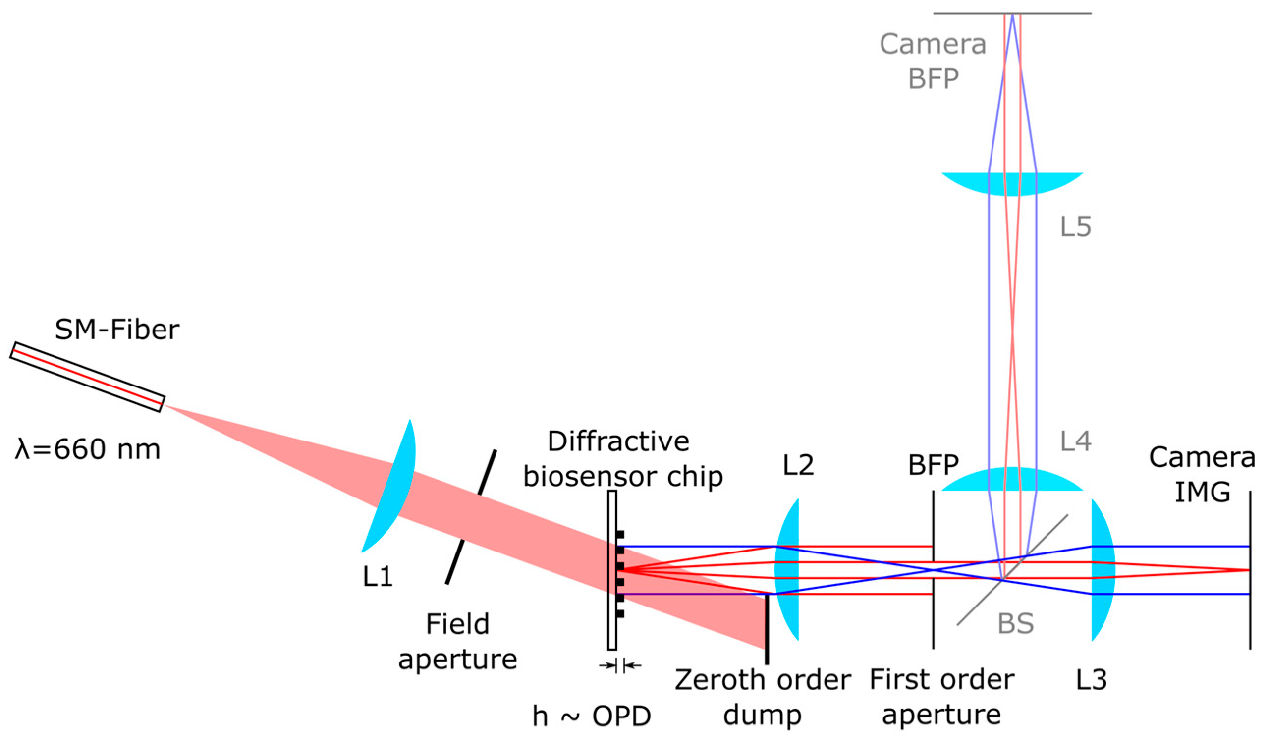 Biosensors 14 00398 g003 Biosensors 14 00398 g003