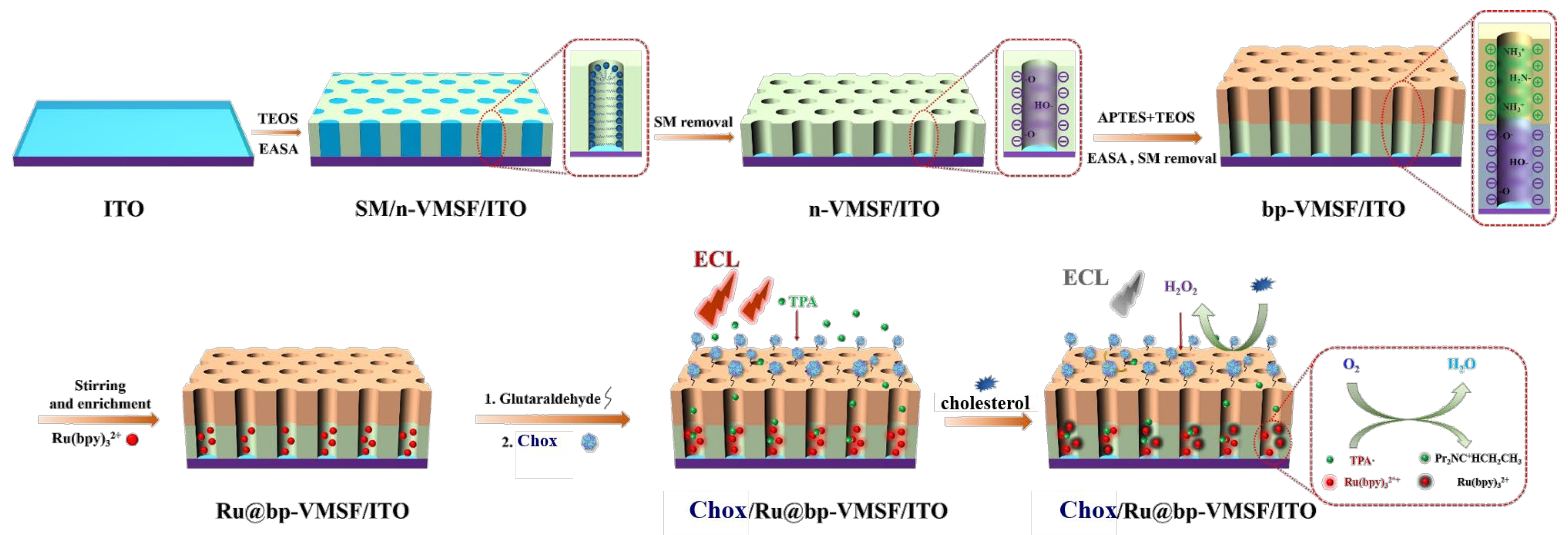 Biosensors 14 00403 g001