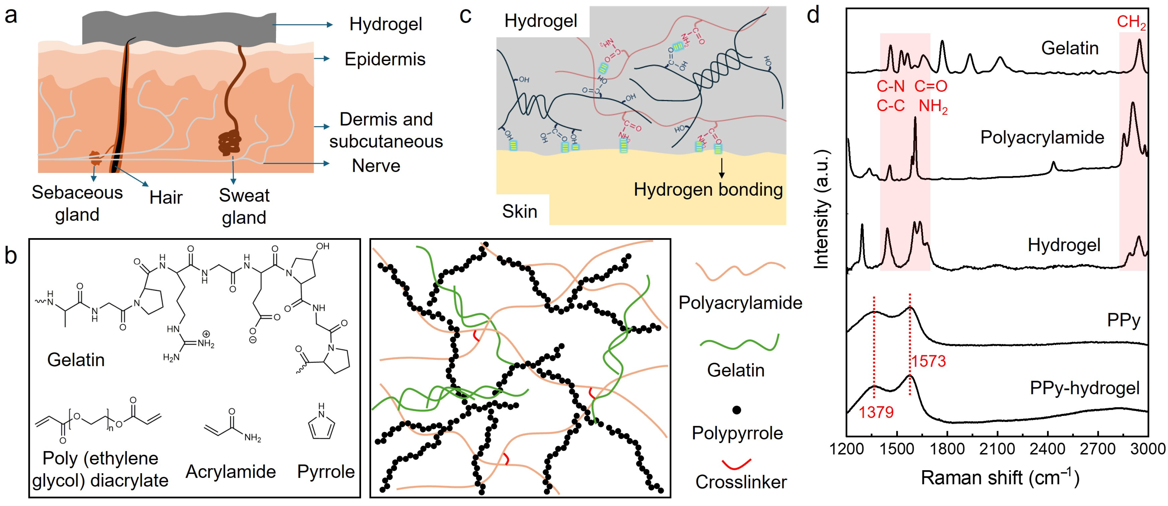 Biosensors 14 00405 g001