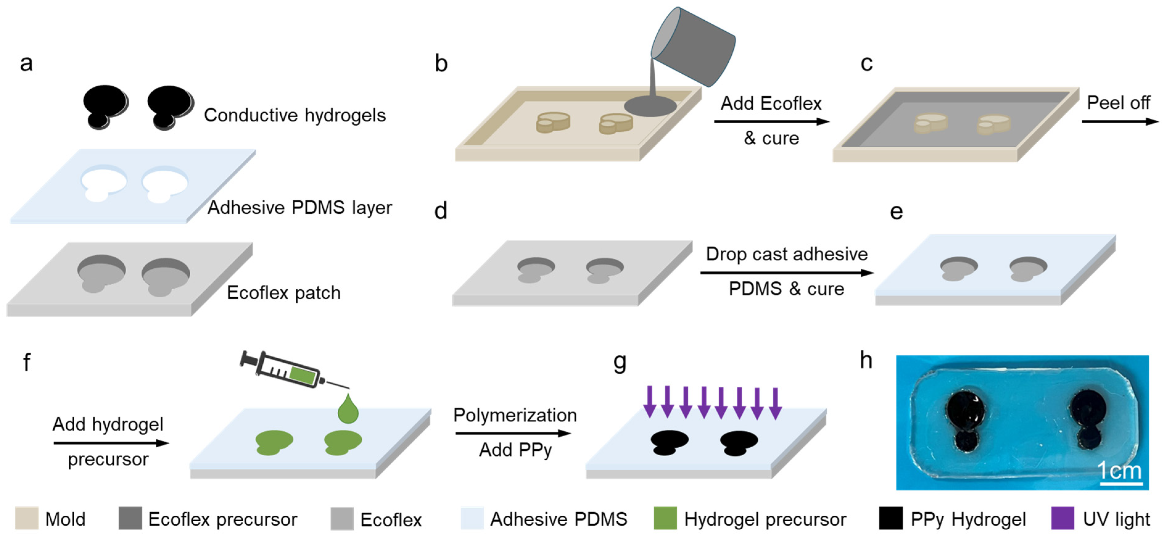 Biosensors 14 00405 g002