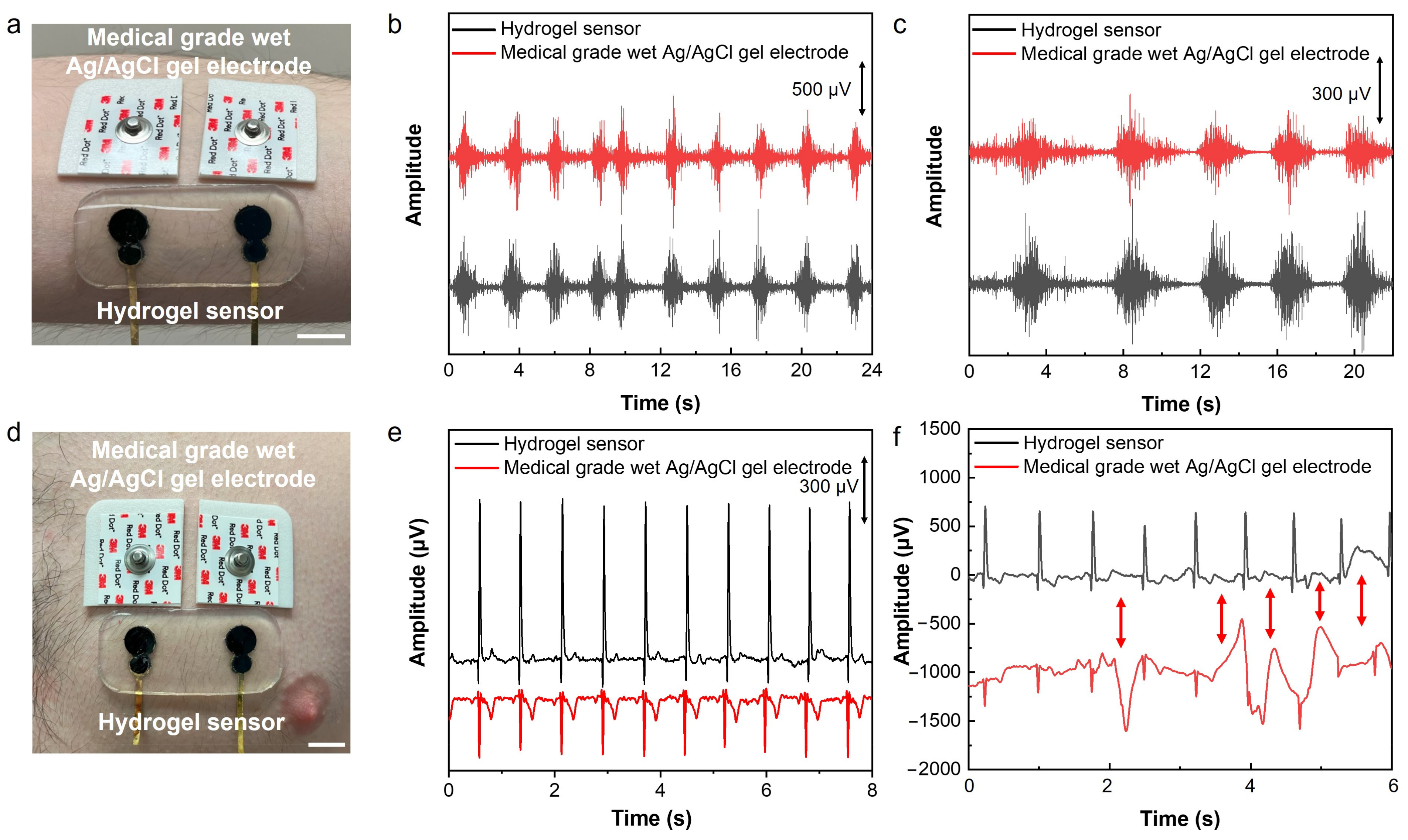 Biosensors 14 00405 g004