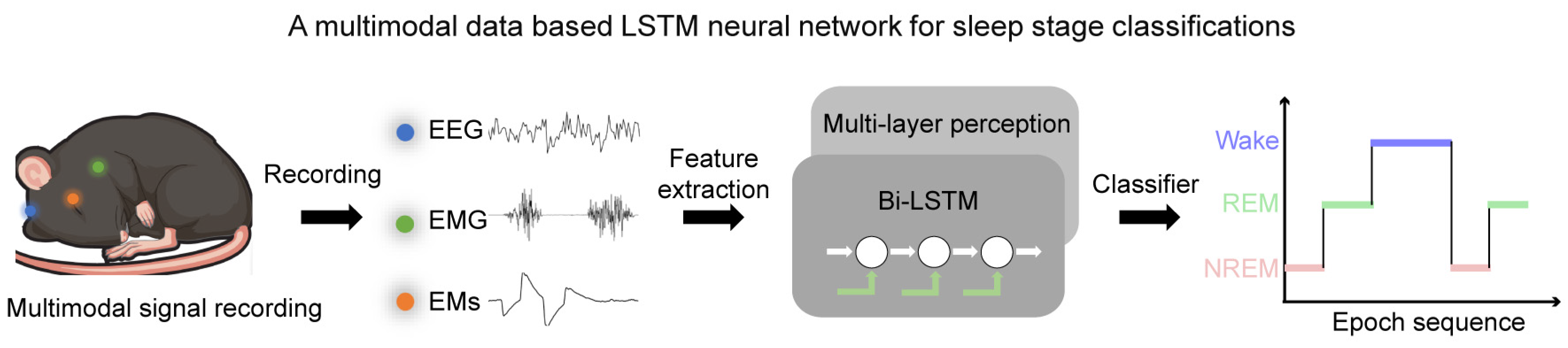 Biosensors 14 00406 g001