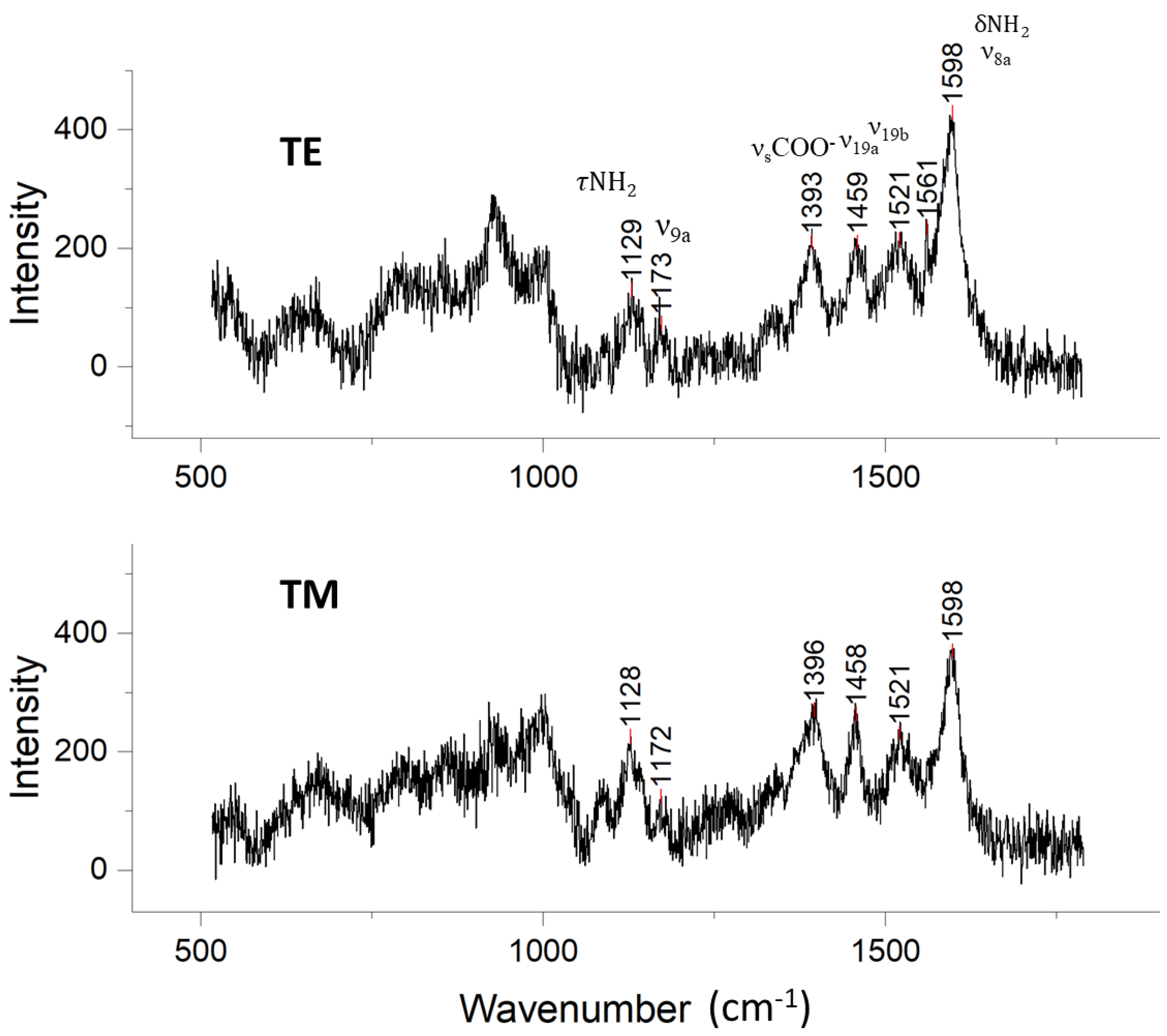 Biosensors 14 00409 g007 Biosensors 14 00409 g007