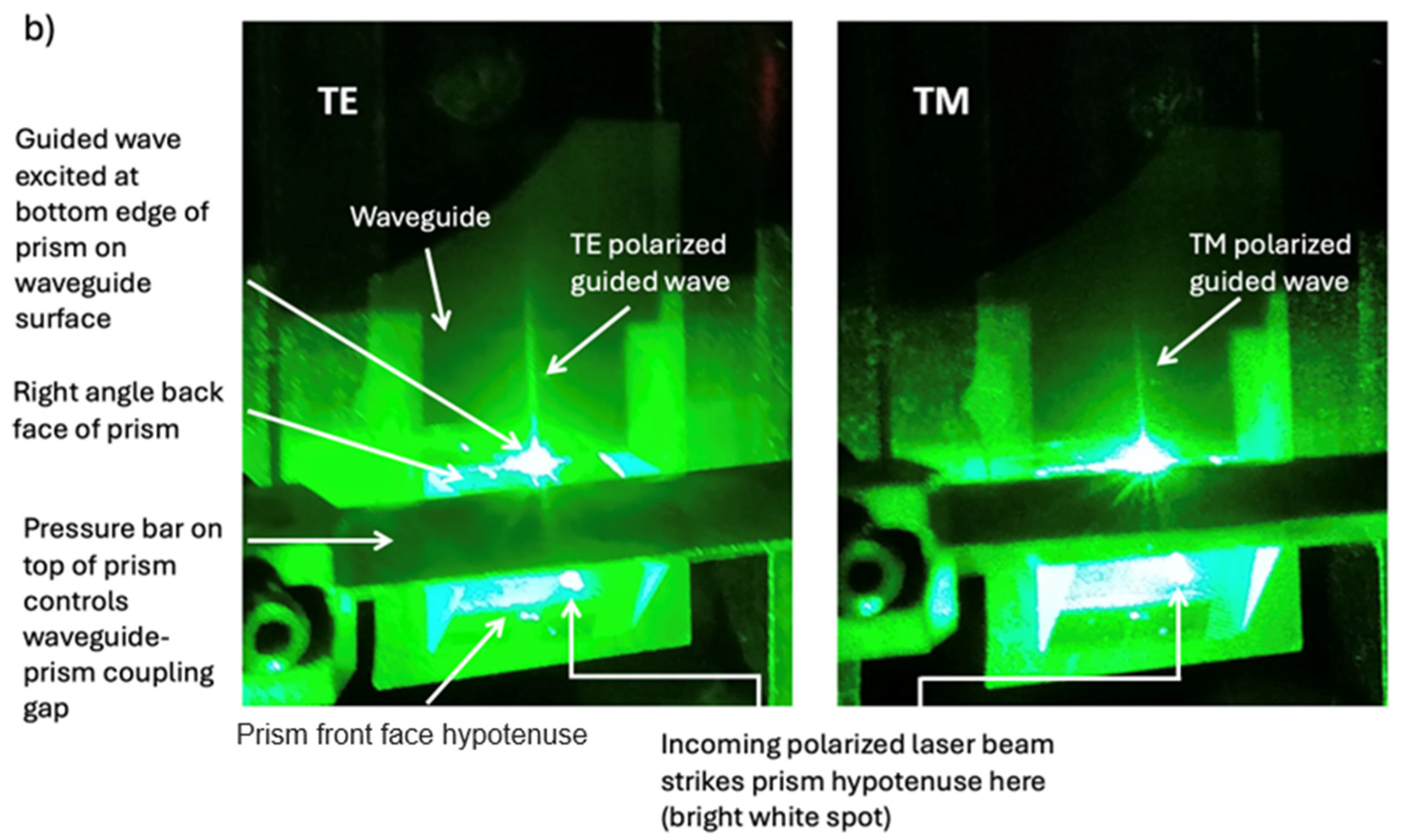Biosensors 14 00409 g008b Biosensors 14 00409 g008b