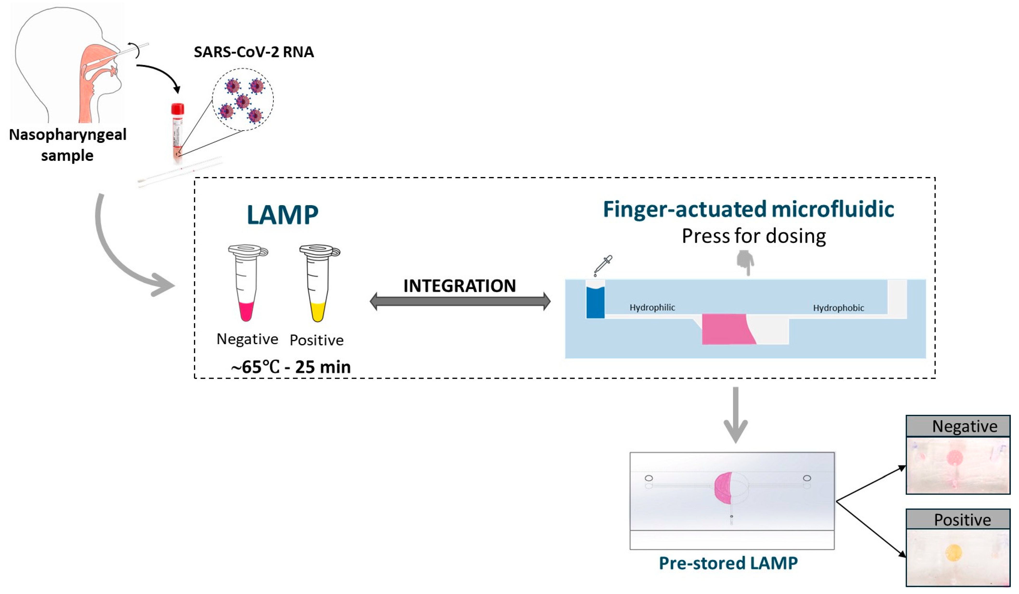 Biosensors 14 00410 g001