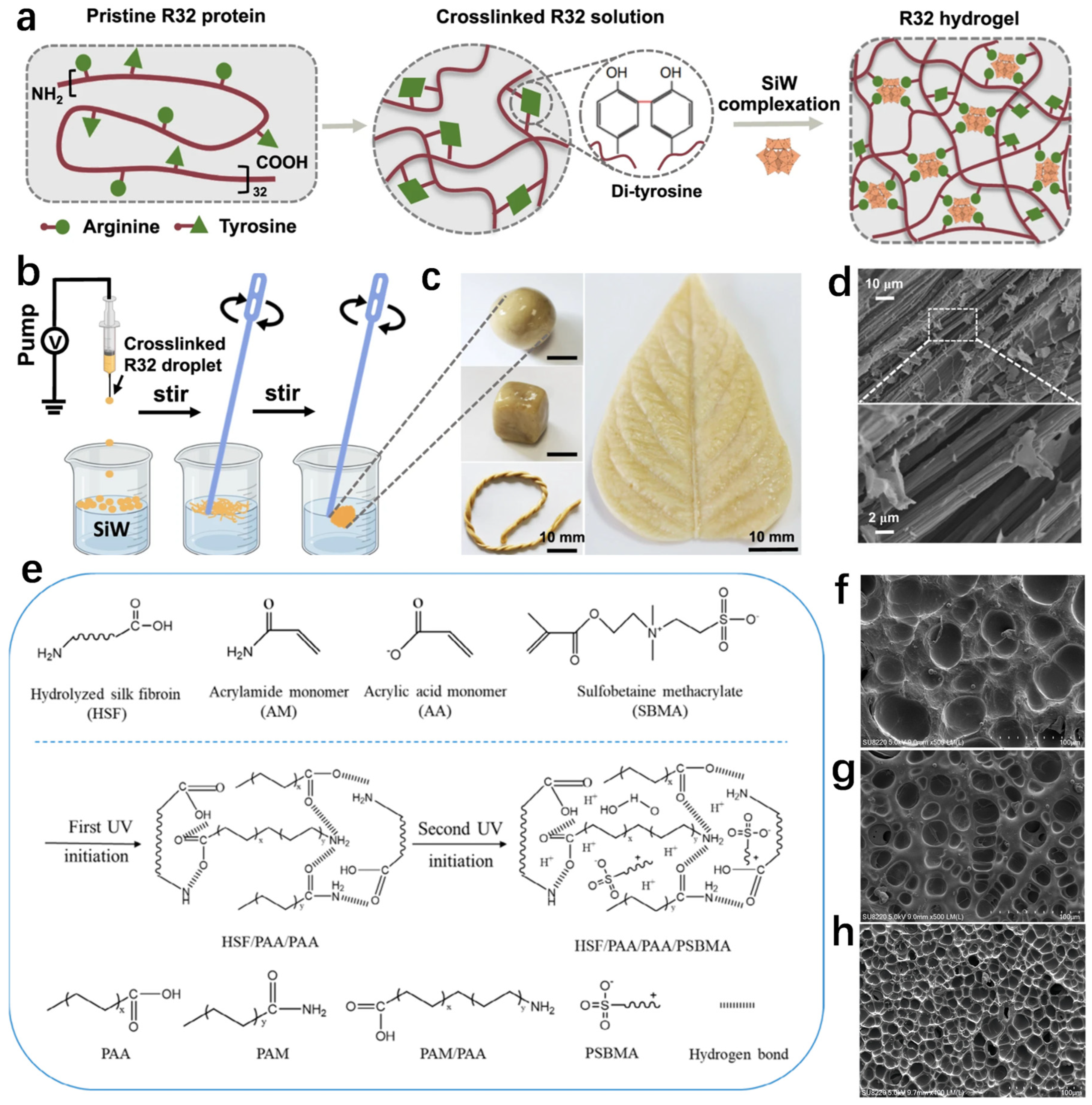 Biosensors 14 00415 g001