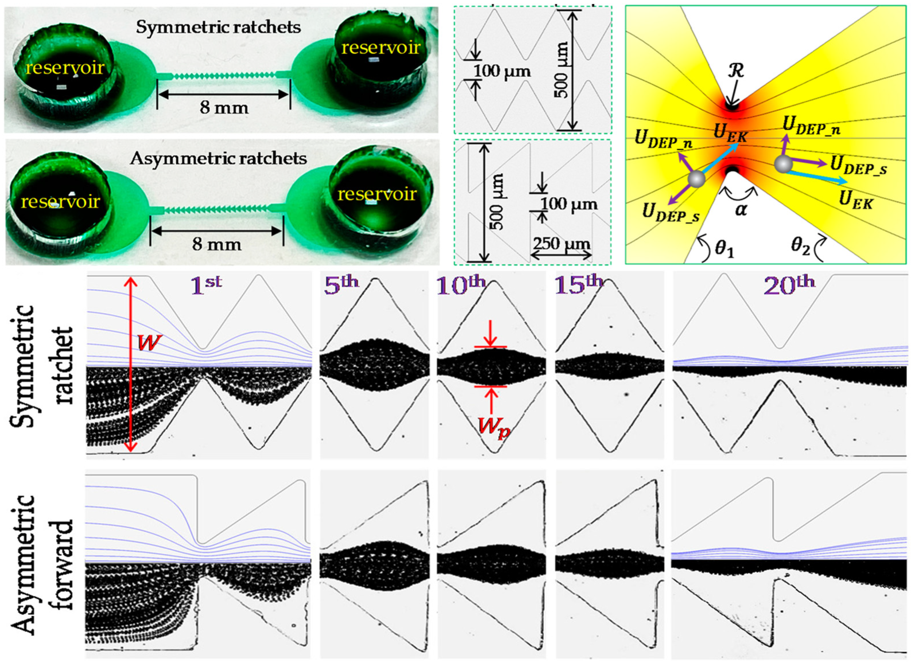 Biosensors 14 00417 g001