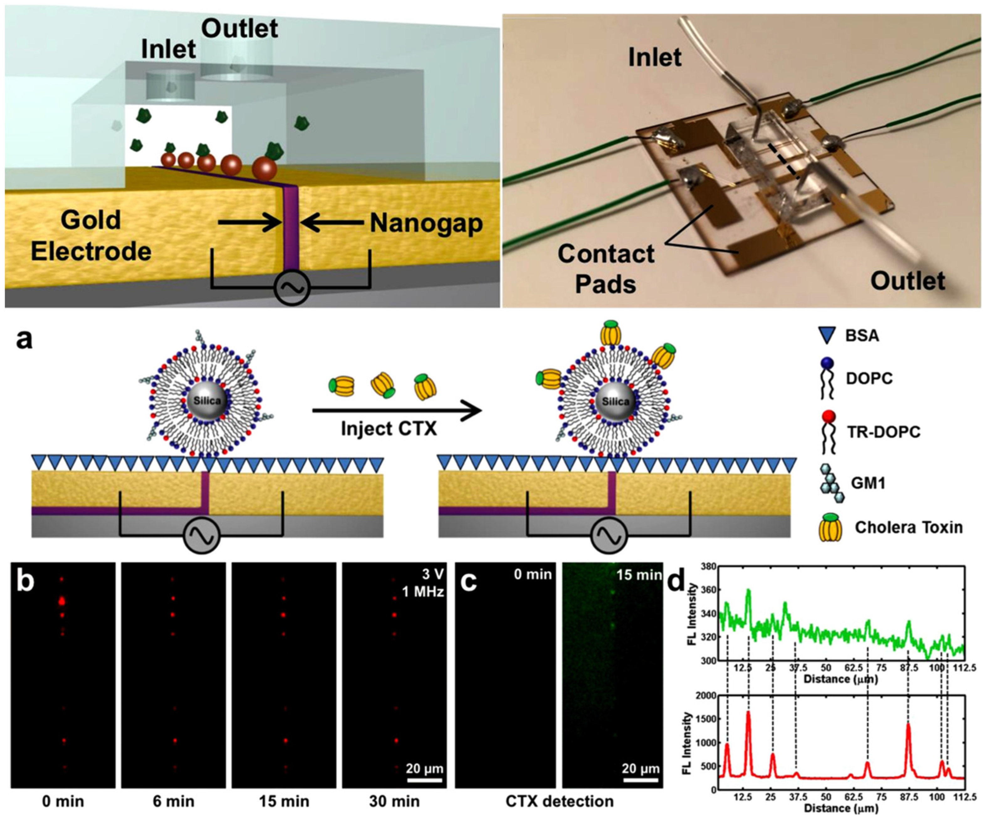 Biosensors 14 00417 g003