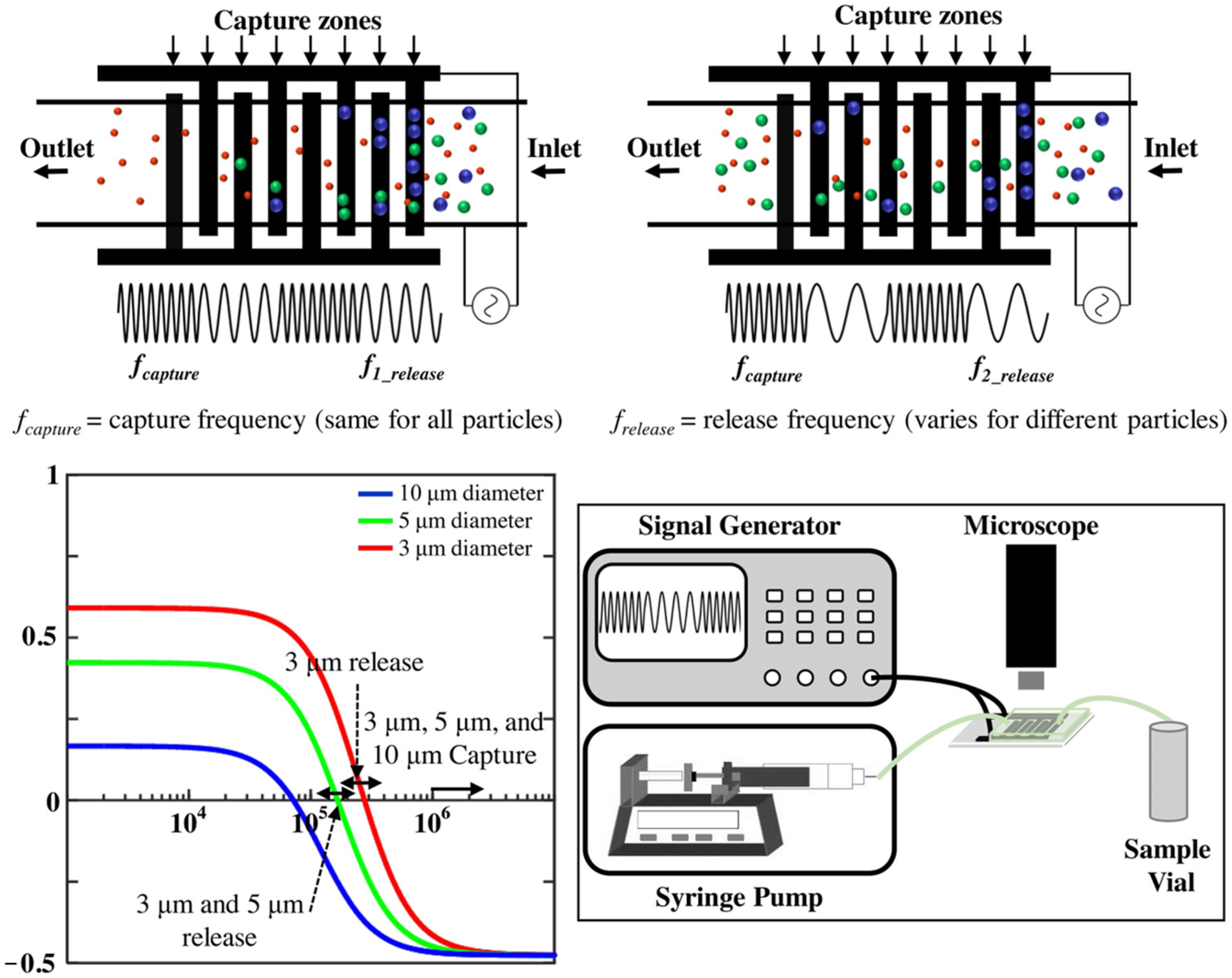 Biosensors 14 00417 g005