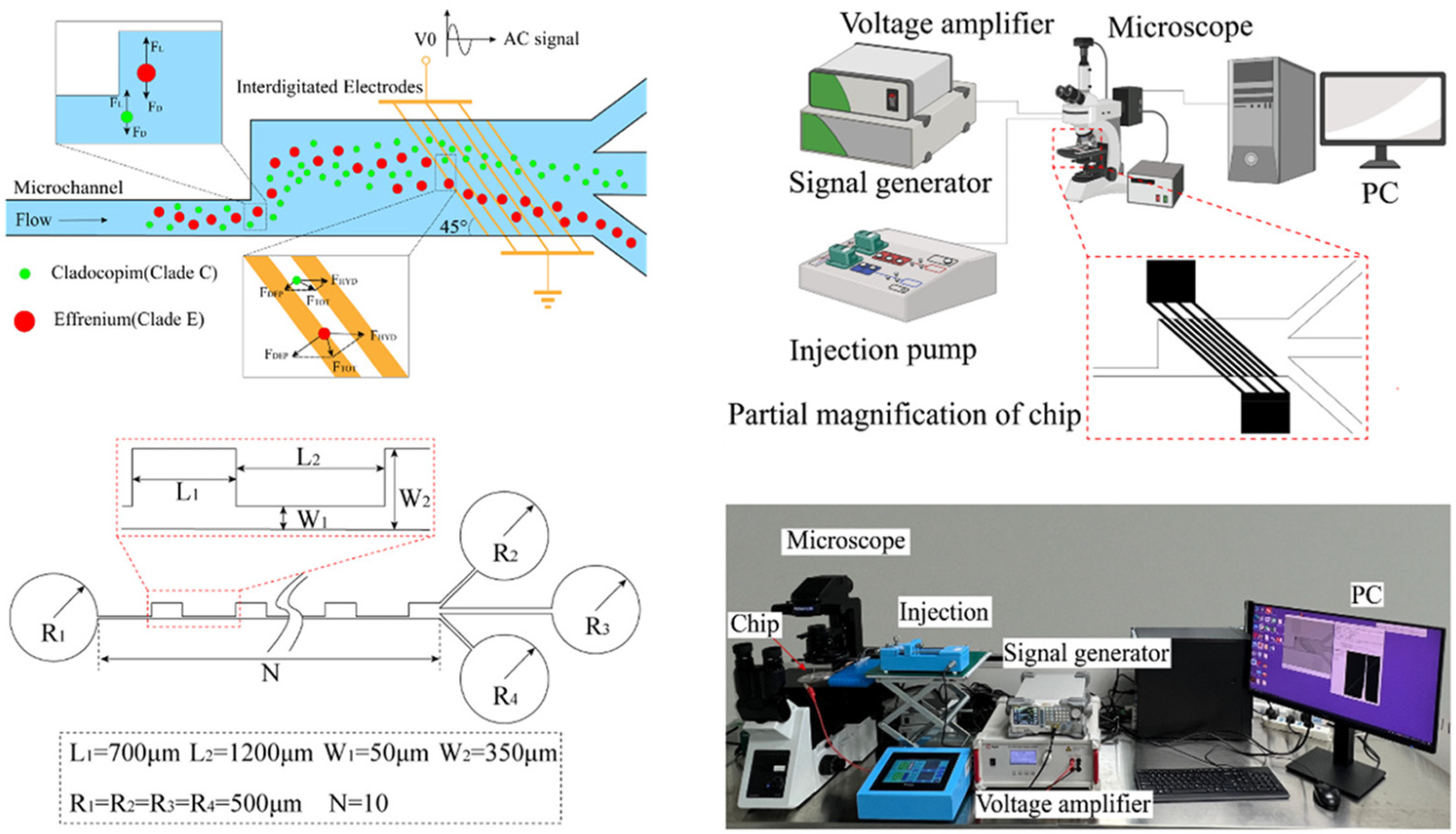 Biosensors 14 00417 g008
