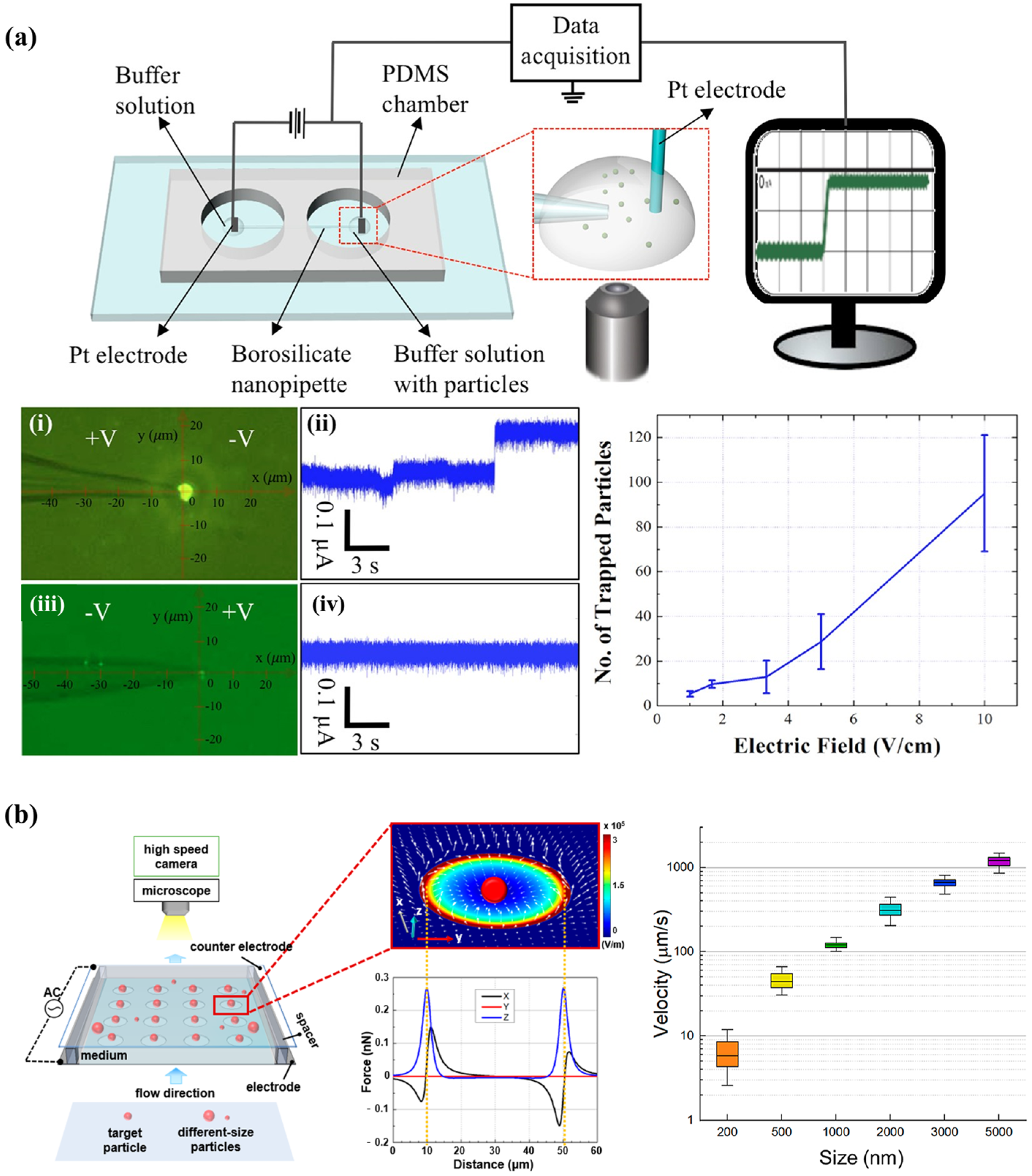 Biosensors 14 00417 g010