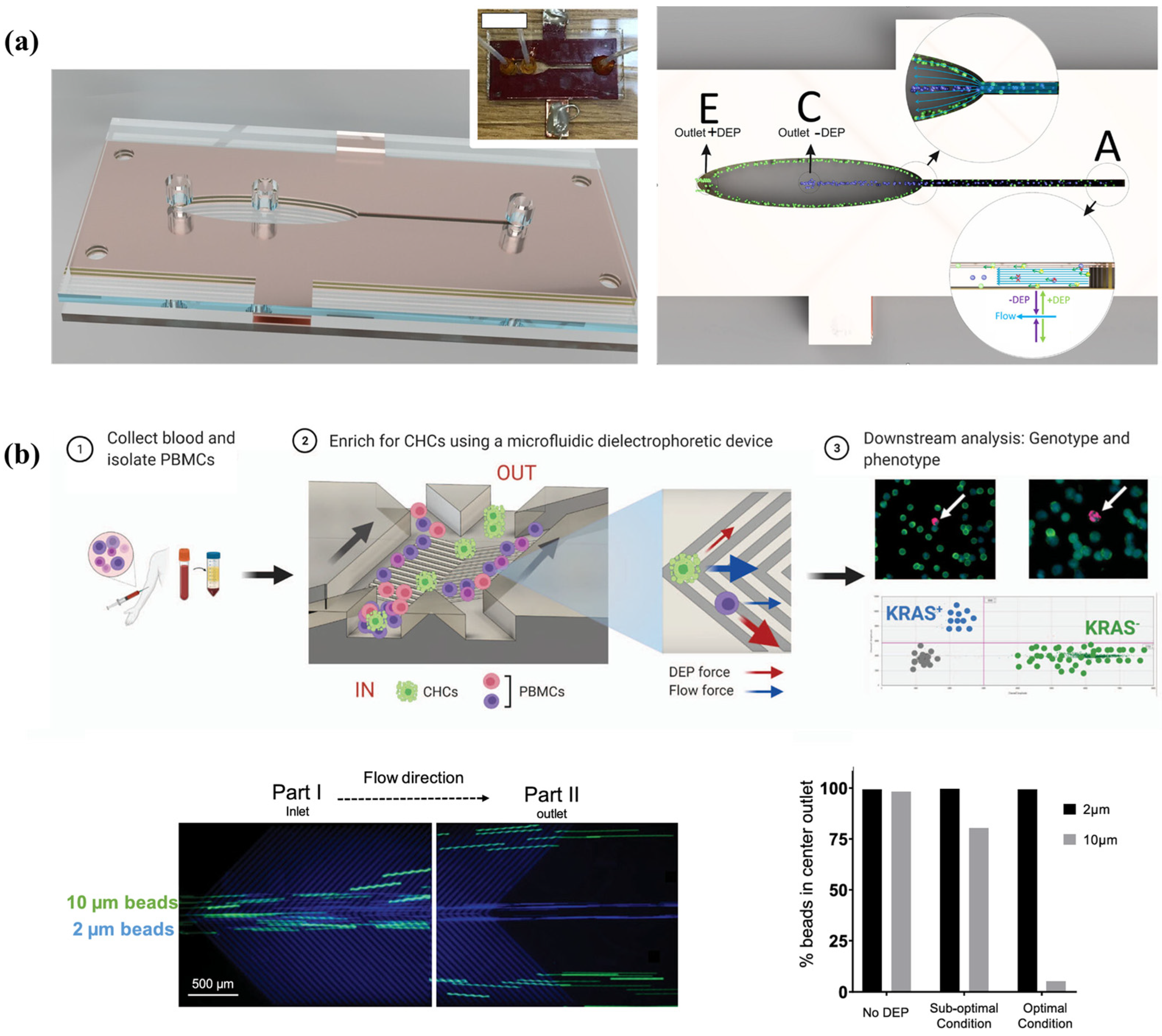 Biosensors 14 00417 g012
