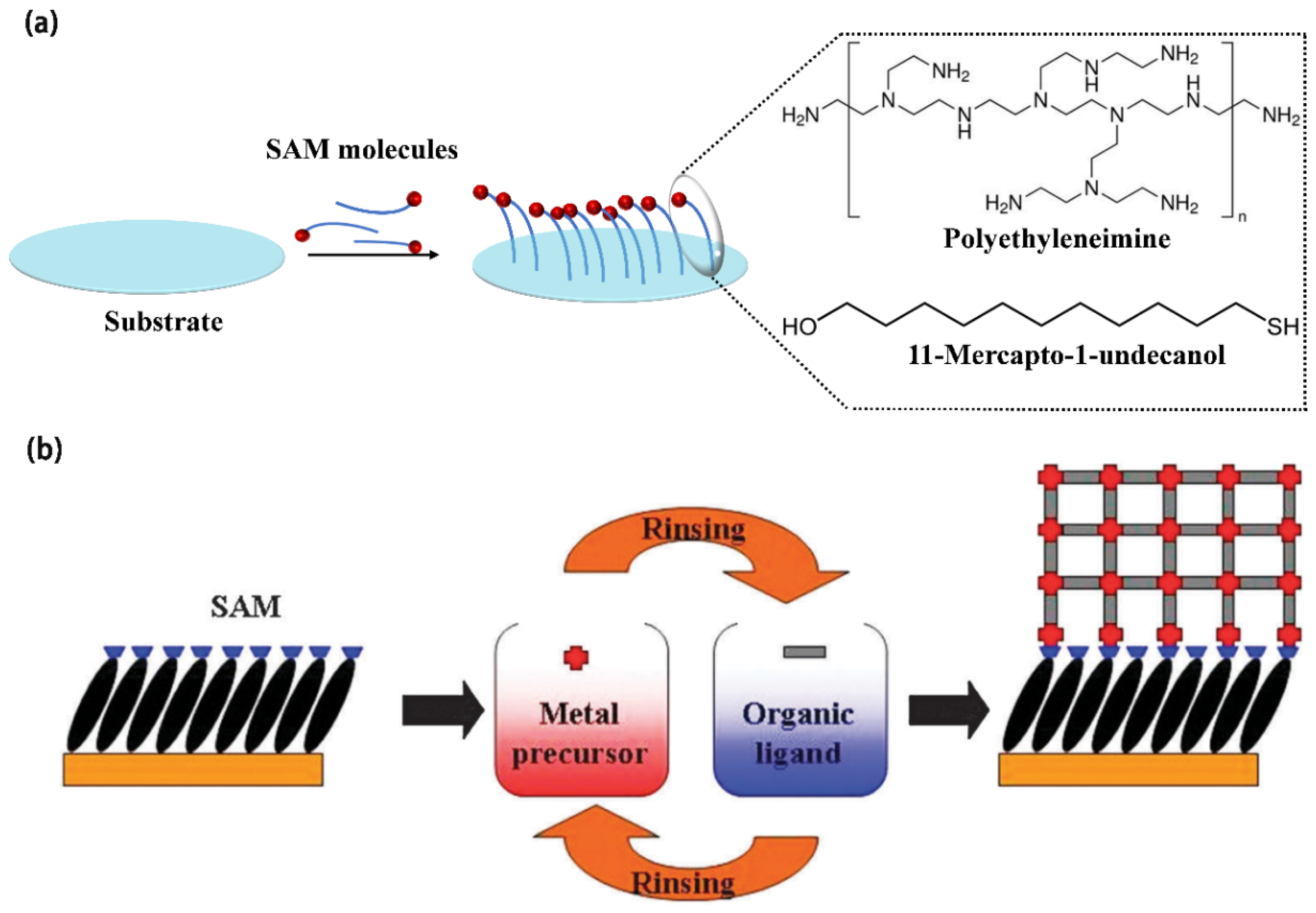 Biosensors 14 00420 g004