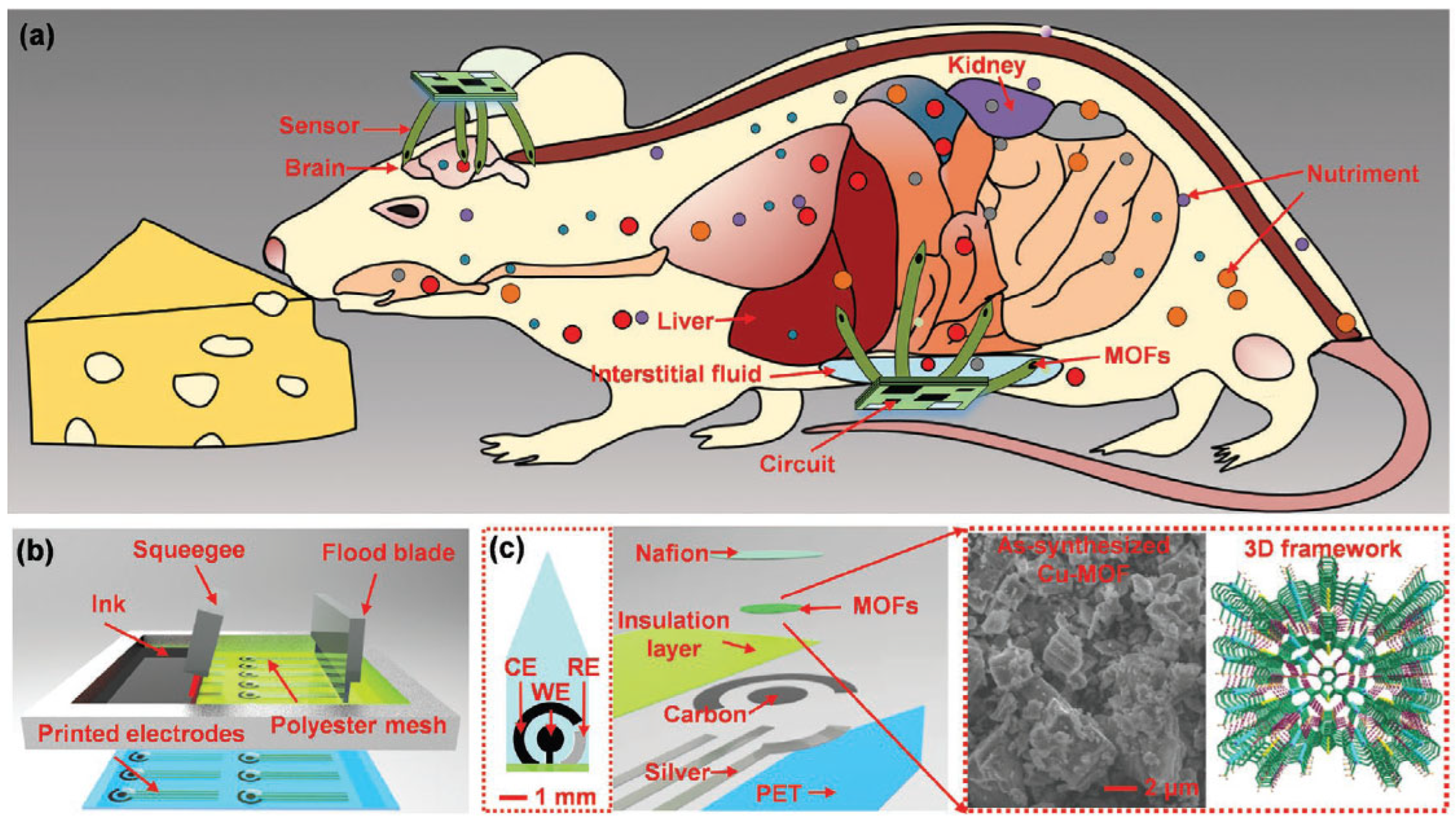 Biosensors 14 00420 g010