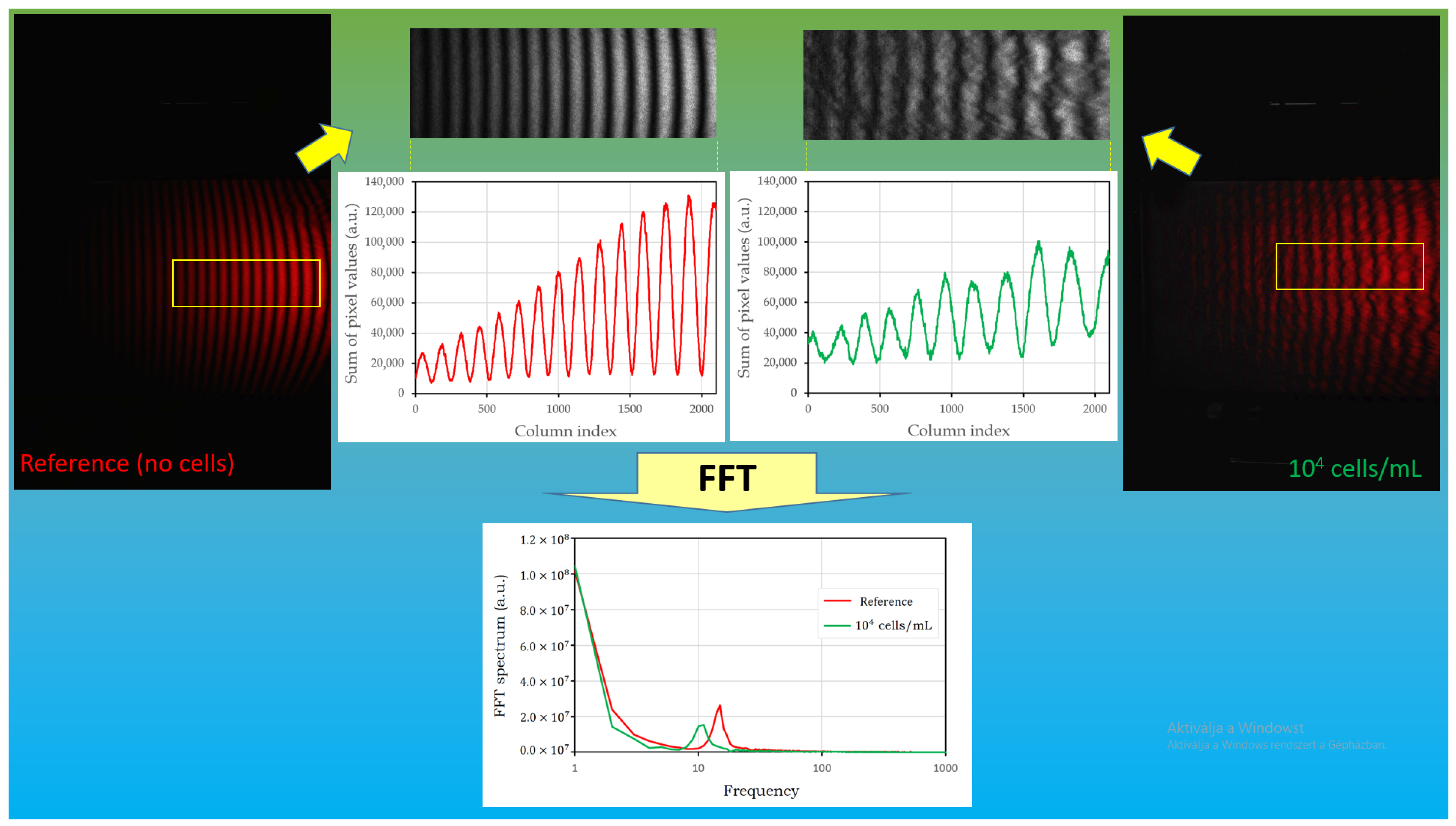 Biosensors 14 00421 g004