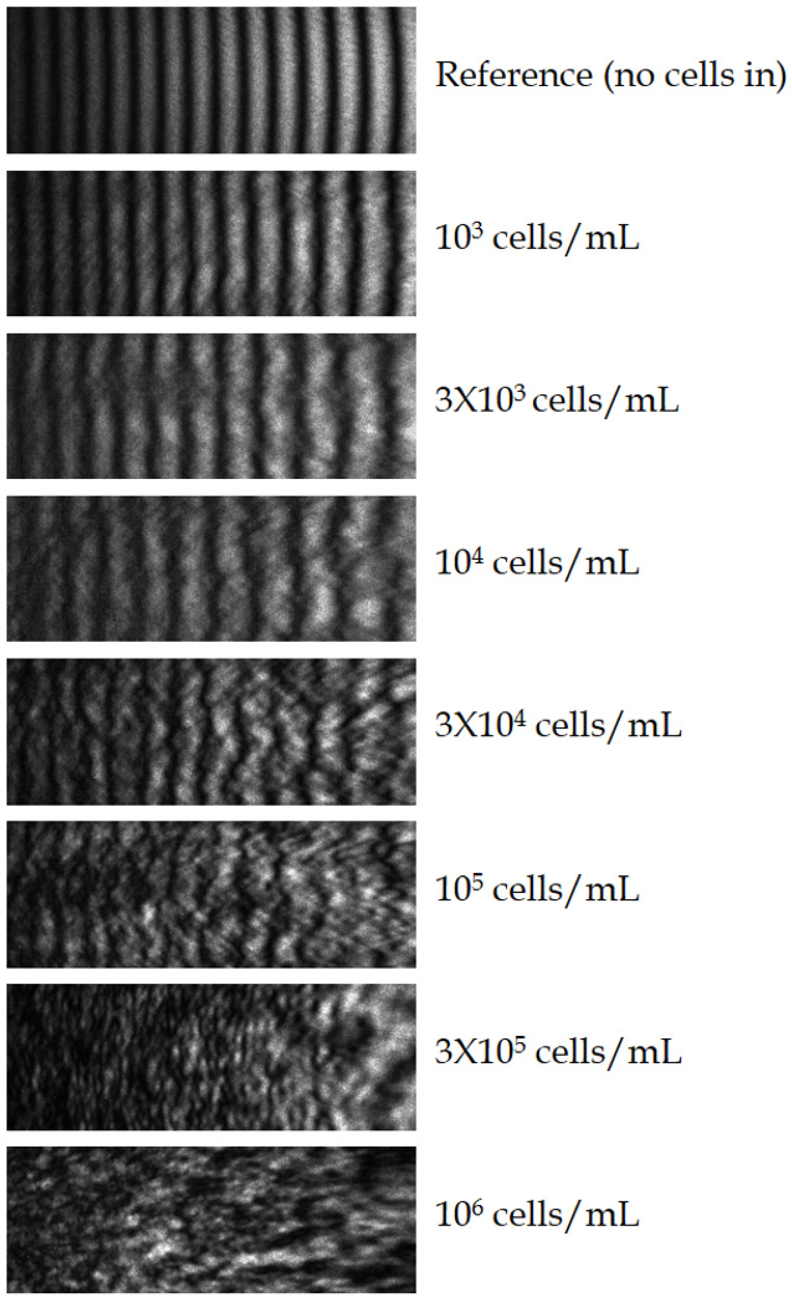 Biosensors 14 00421 g005