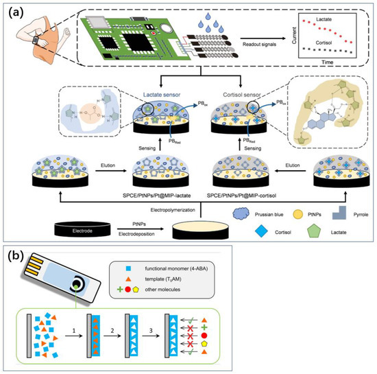 Biosensors 14 00422 g004