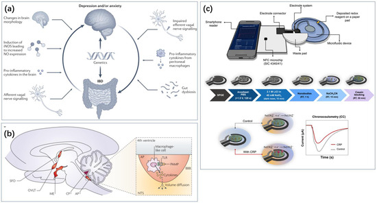 Biosensors 14 00422 g007