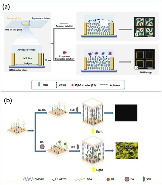 Biosensors 14 00422 g009
