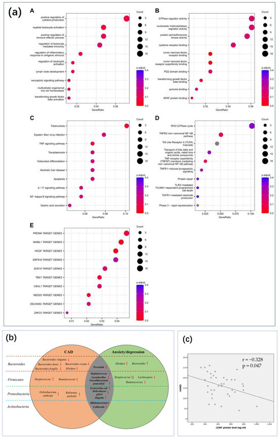 Biosensors 14 00422 g010