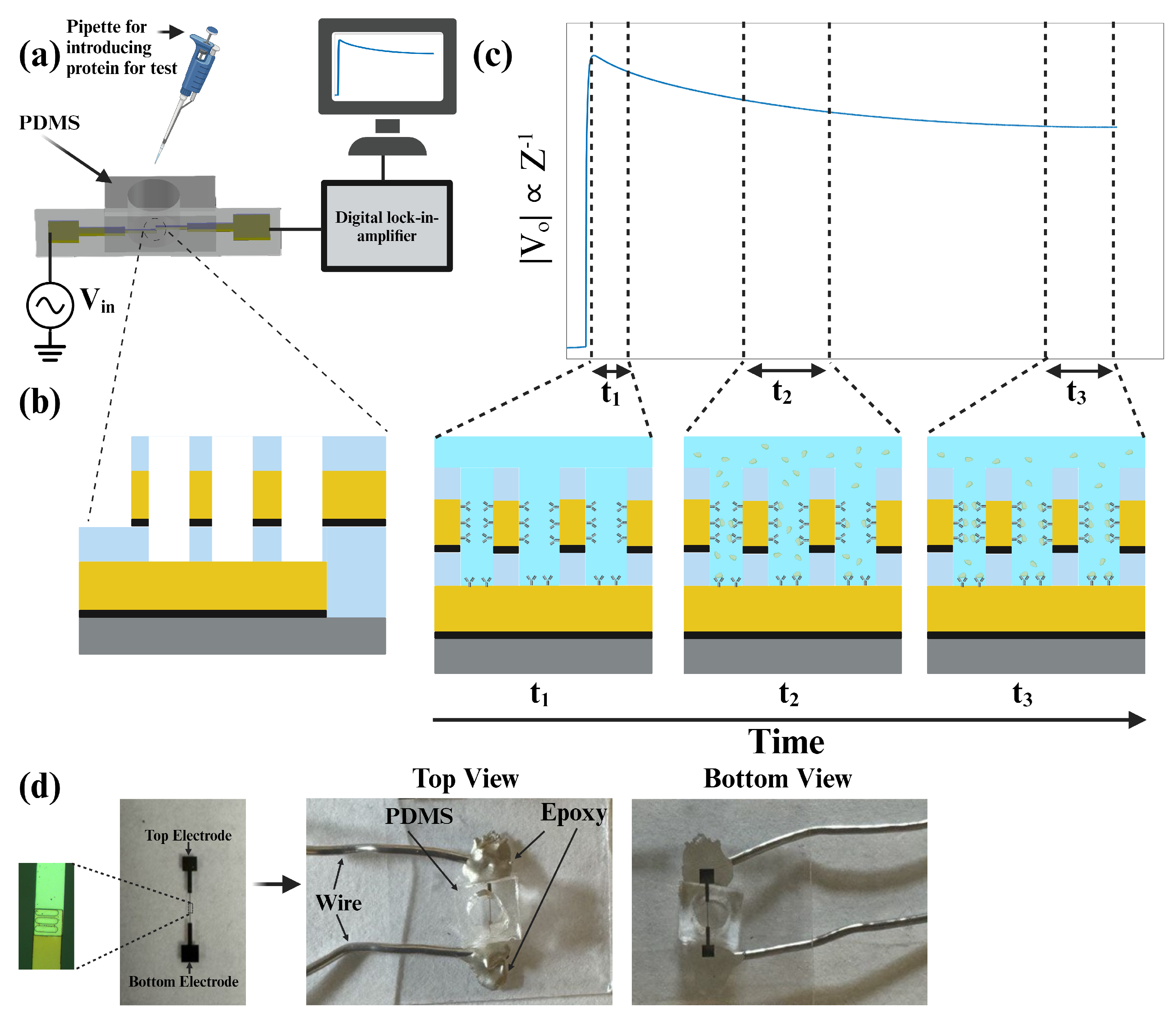 Biosensors 14 00426 g001
