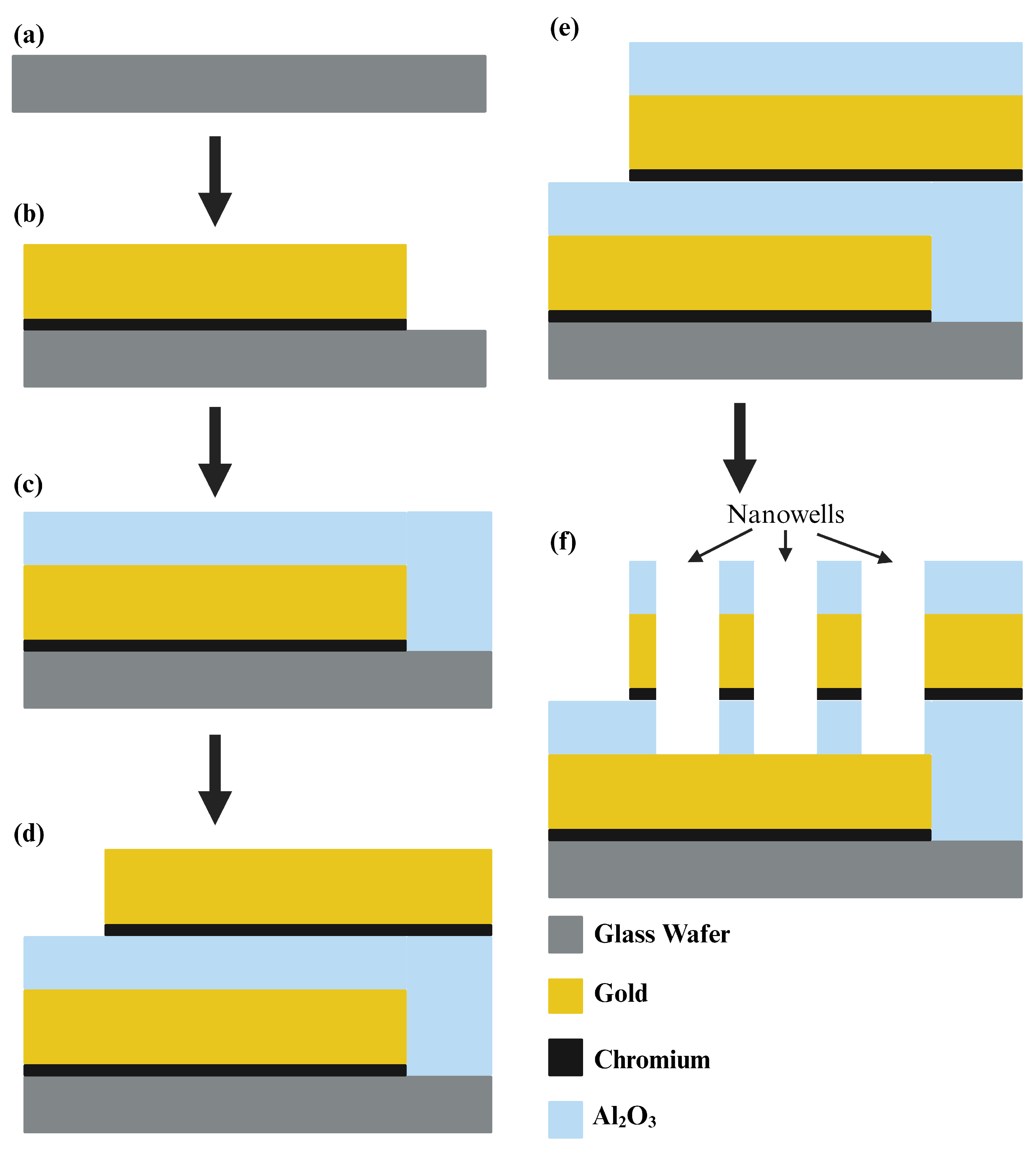 Biosensors 14 00426 g003